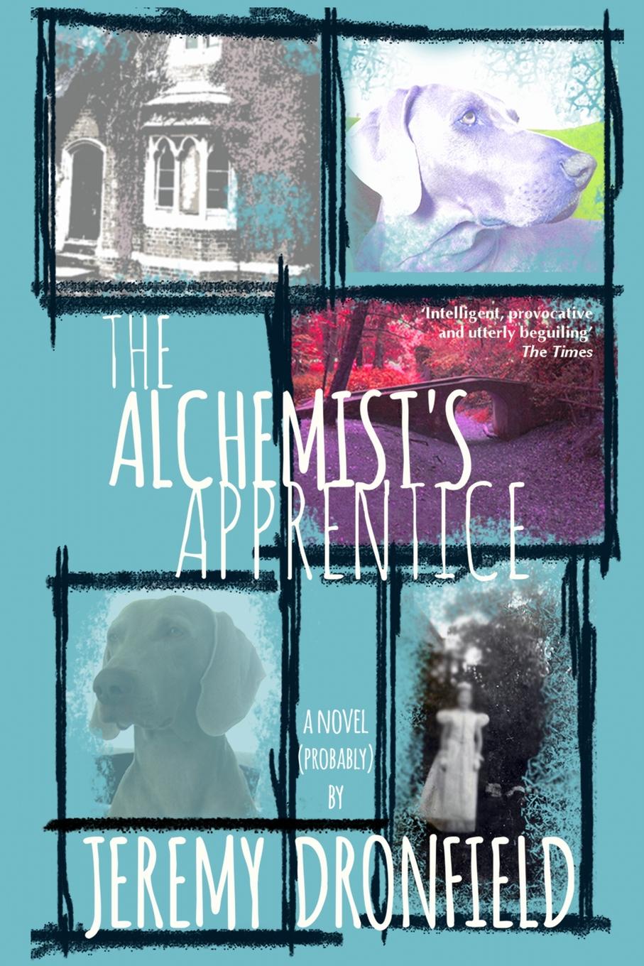 The Alchemist`s Apprentice