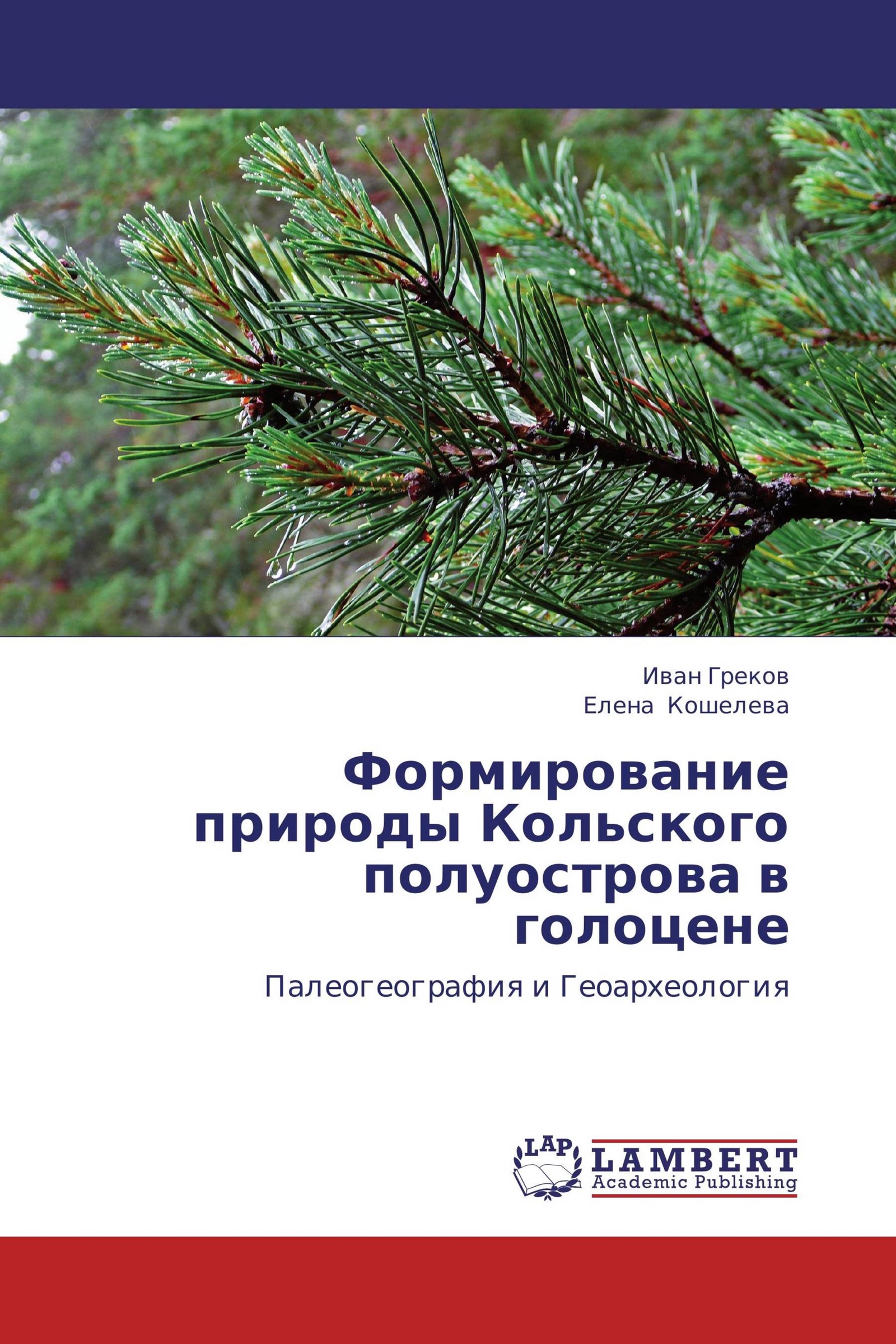 Формирование природы. Популяции сосны обыкновенной на карте. Географические культуры ели. Экологическое значение сосны. Изучение географических культуры ели.