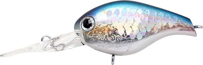 фото Воблер Lucky Craft Clutch DR-270 MS American Shad, CLTHDR-270