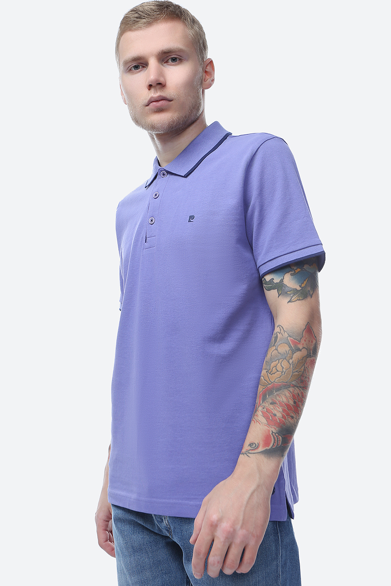 Поло мужское Pierre Cardin, цвет: фиолетовый. 046.52034.91235.8805. Размер XL (52) цена Поло мужское Pierre Cardin, цвет: фиолетовый. 046.52034.91235.8805. Размер XL (52) цены онлайн