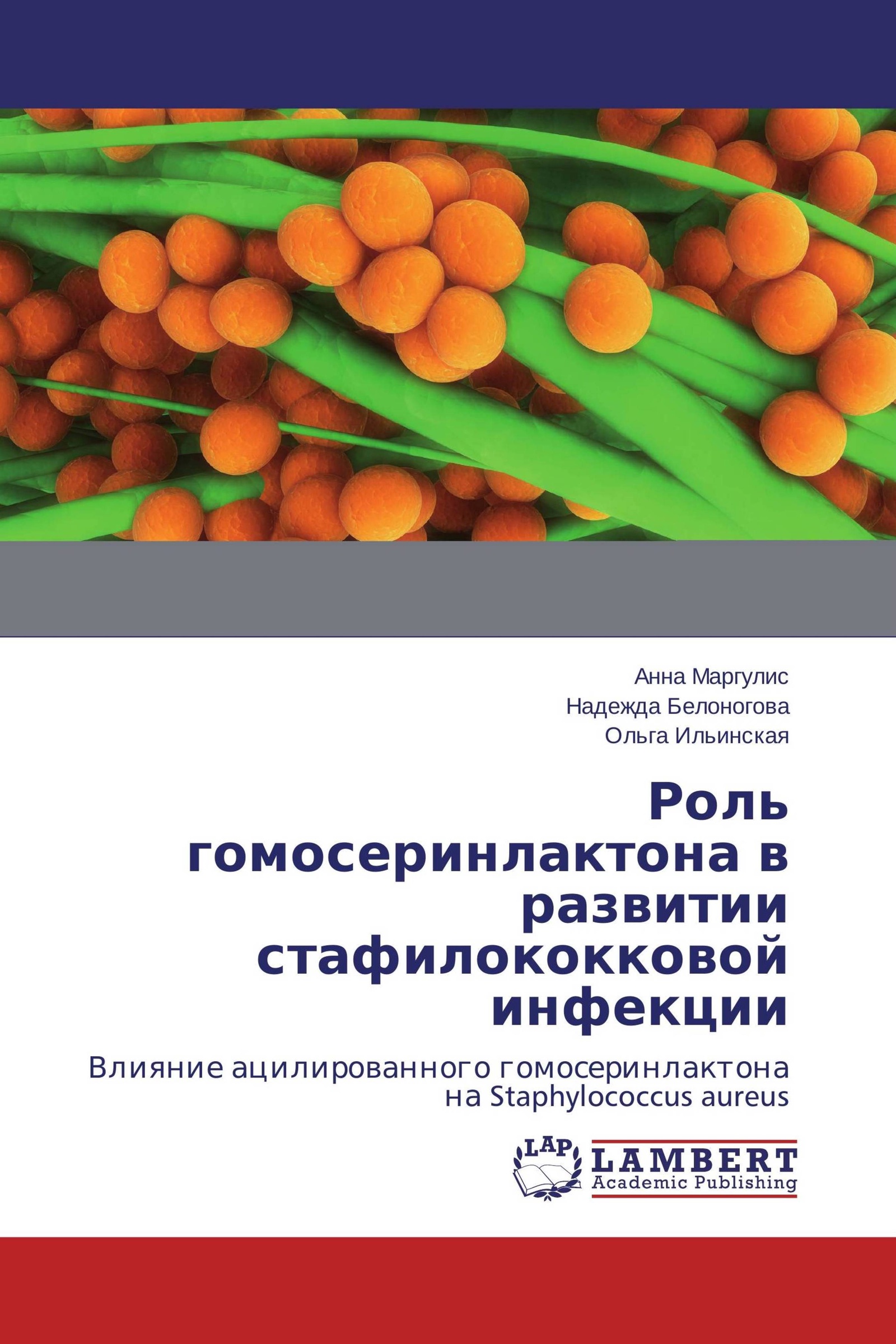 Стафилококк эпидермидис. Стафилококк ауреус эпидемиология. Staphylococcus aureus biofilms. Носительство стафилококка.