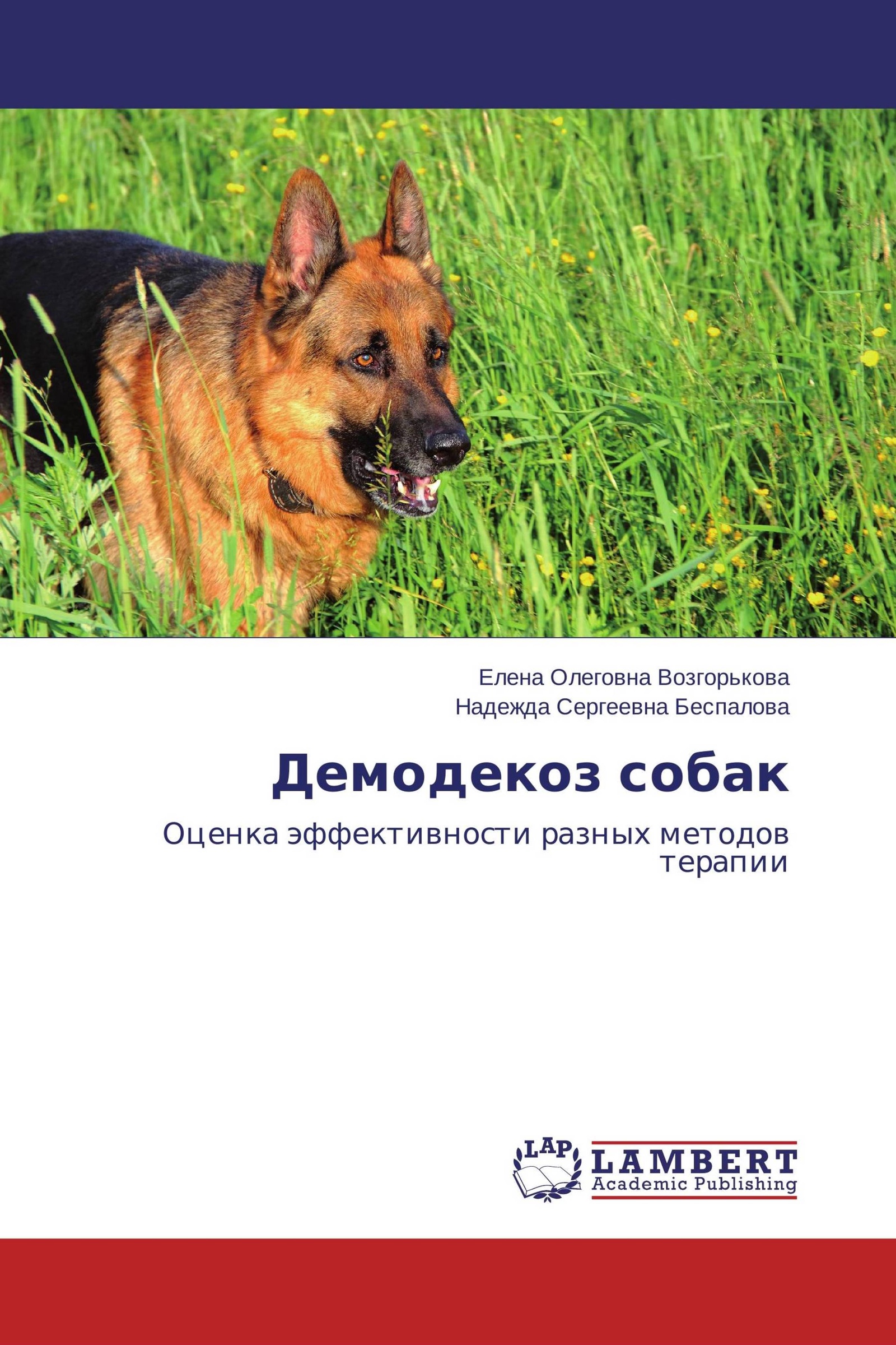 Демодекоз у собак схема. Демодекоз собак буклеты.