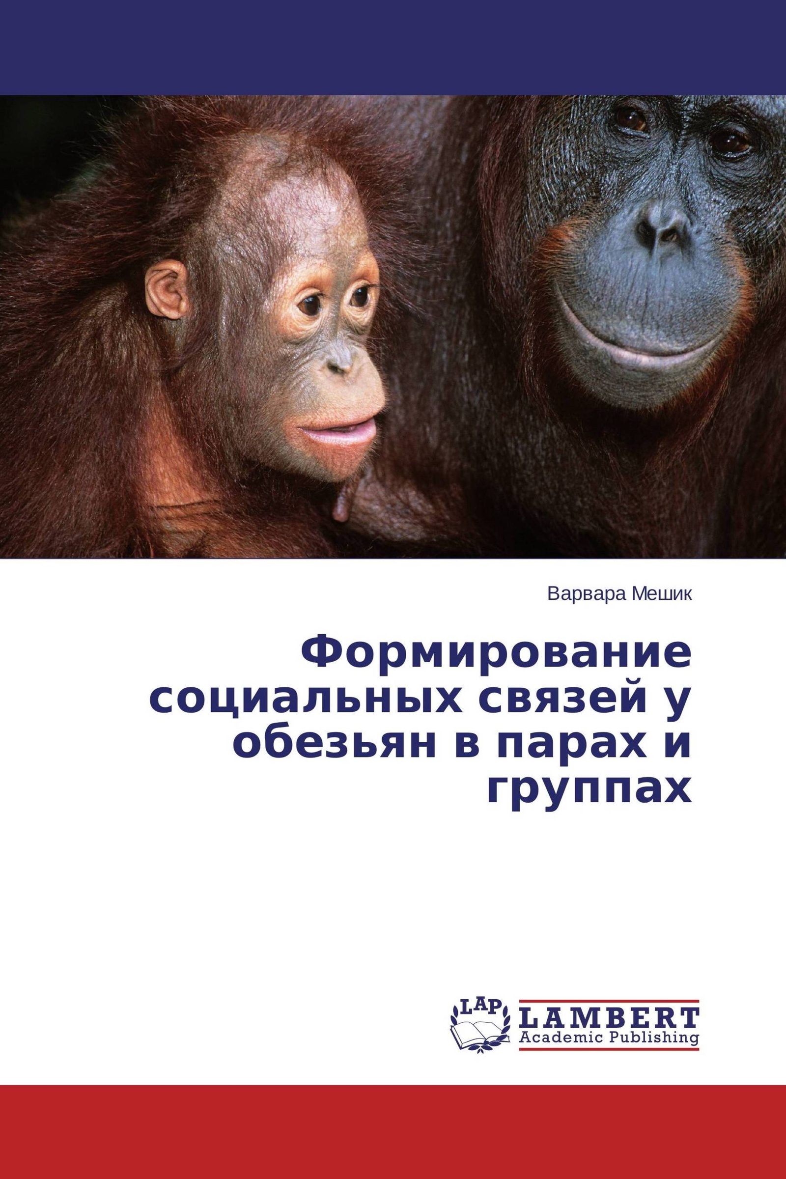 Интеллектуальное поведение животных. У обезьян сформировано осознанное поведение. Интересные факты о поведении животных. Продолжительность детства у животных. Социальное поведение животных.