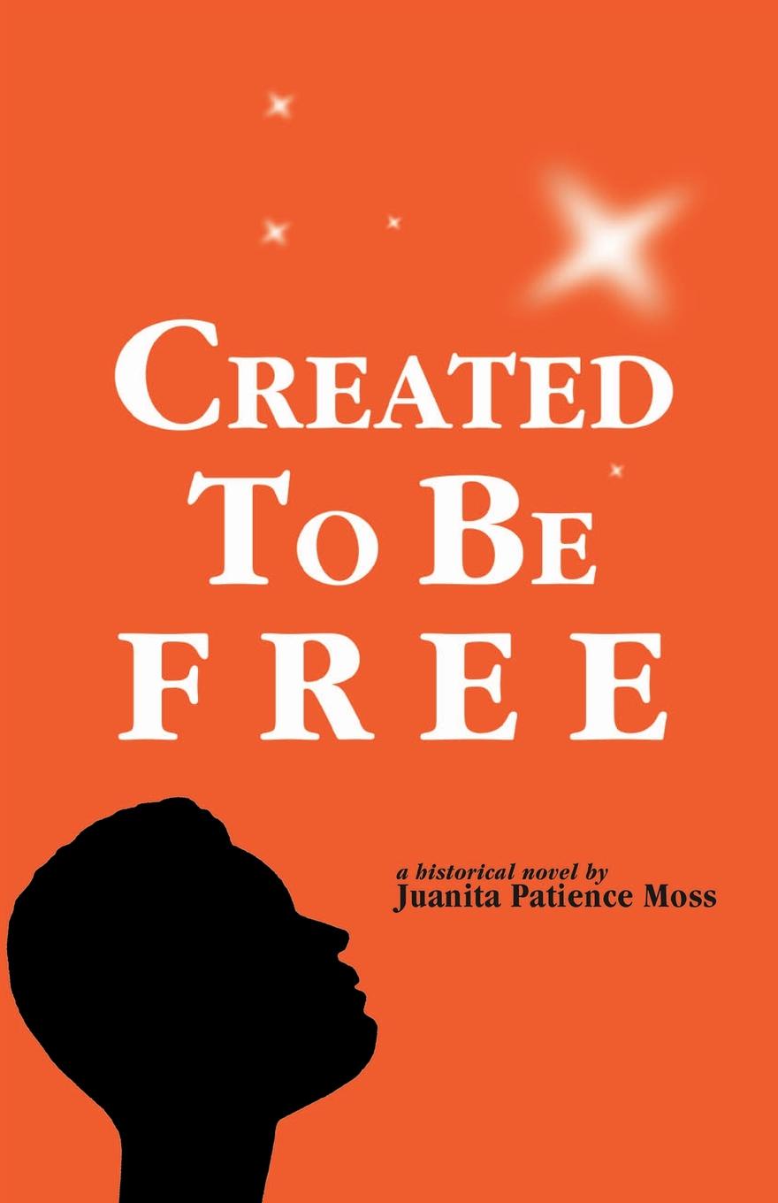 Created to Be Free. A Historical Novel about One American Family