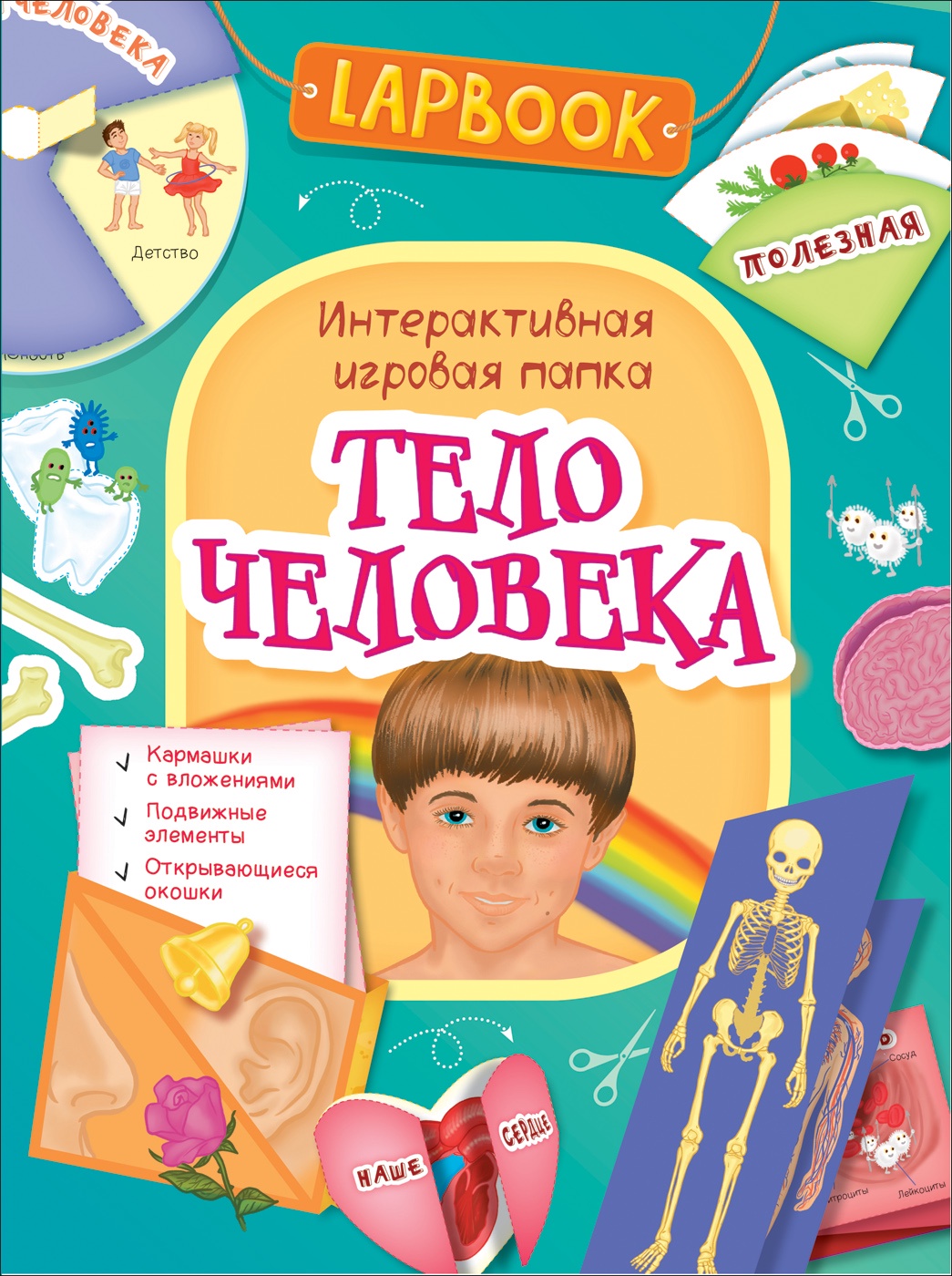 фото Lapbook. Тело человека. Интерактивная игровая папка