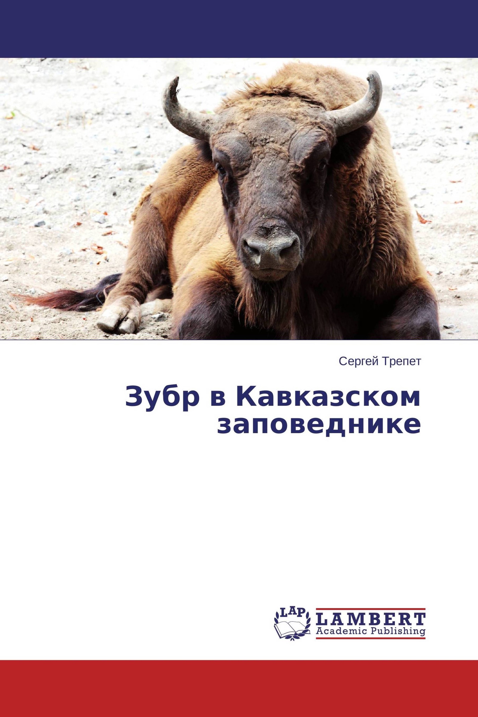 Как зубры вернулись в кавказский заповедник. Зубр красная книга краснодарского края. Кубанский биосферный заповедник. Черная книга животных кавказский зубр. Черная книга животных кавказский зубр.