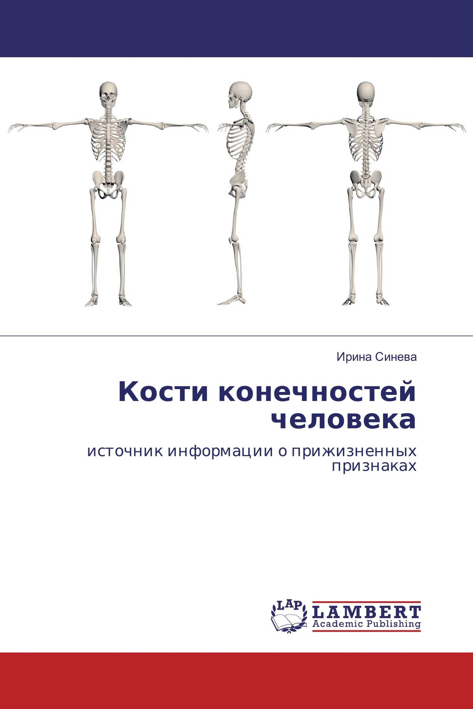 Книга кости. Кости конечностей. Книга про кости человека. Изучение костных останков человека книга.