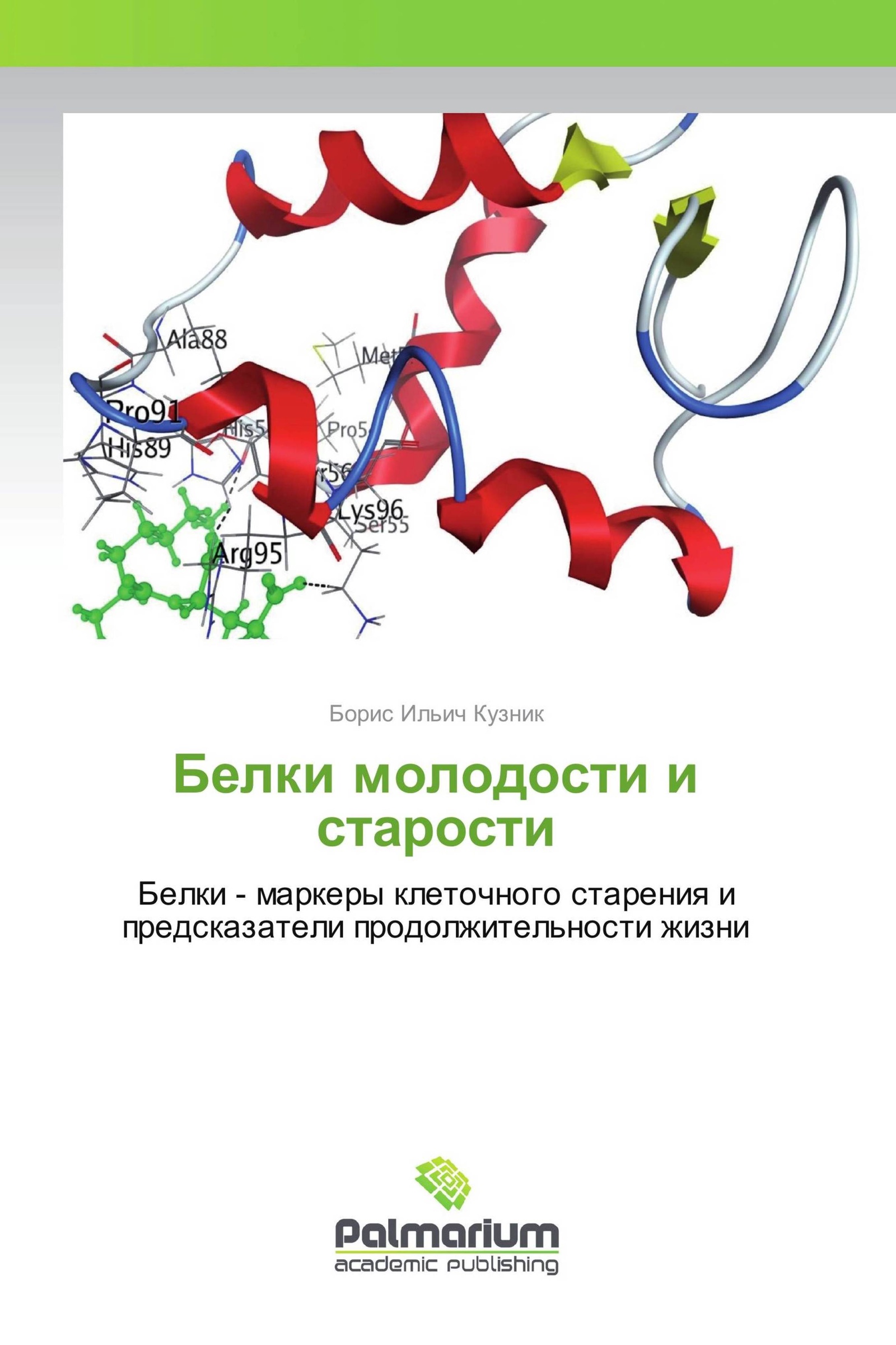 Белков книги. Белки молодости и старение.