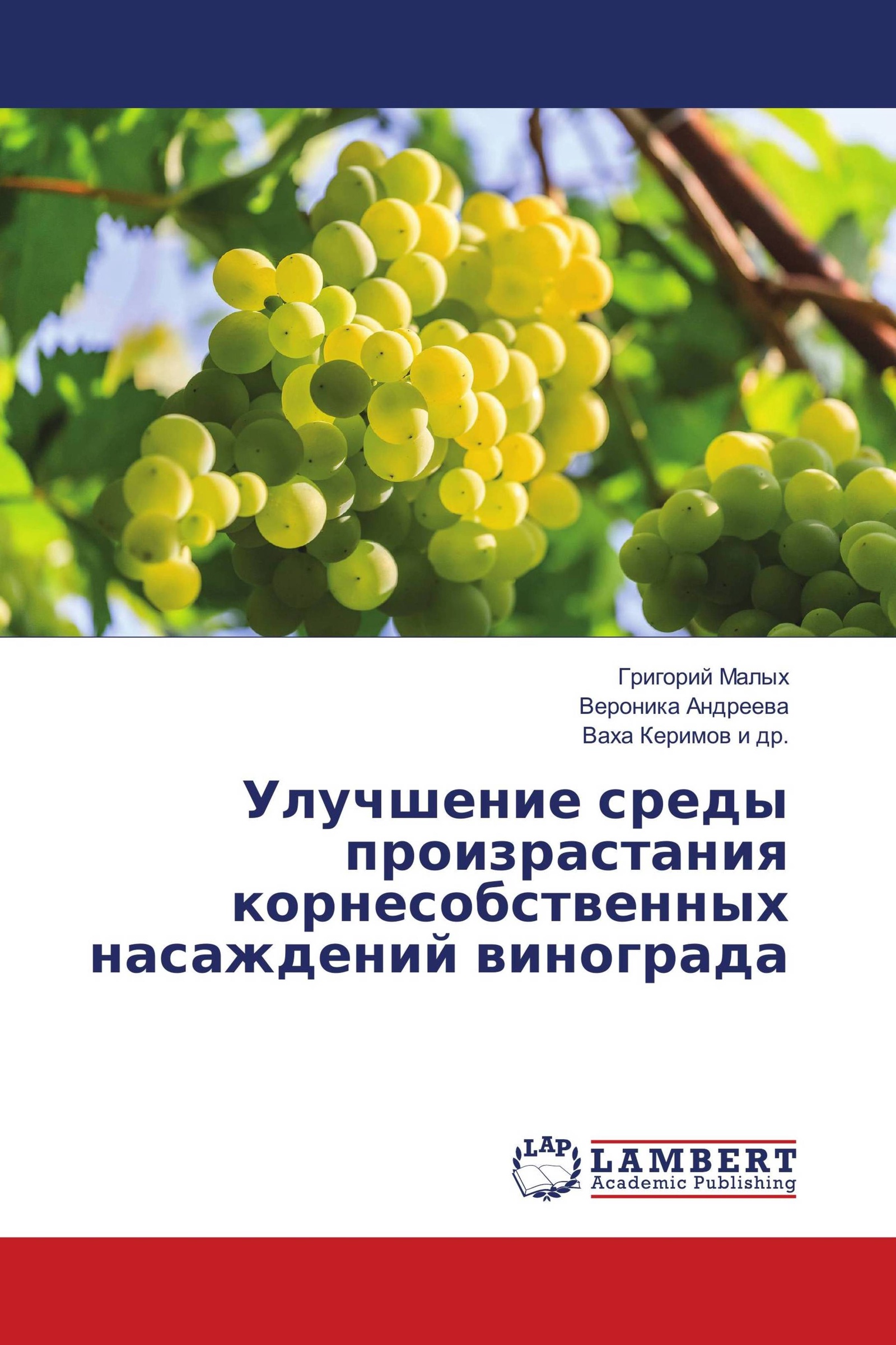 Реестр виноградных насаждений. Паспорт виноградного насаждения. Паспорт виноградного насаждения образец. Паспорт виноградного насаждения заполненный. Плюсы паспорта виноградного насаждения.