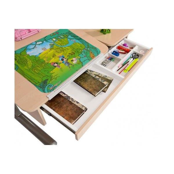 фото Парта для дома Астек ТВИН-2 с органайзером (цвет столешницы: береза, цвет ножек стола: зеленый)