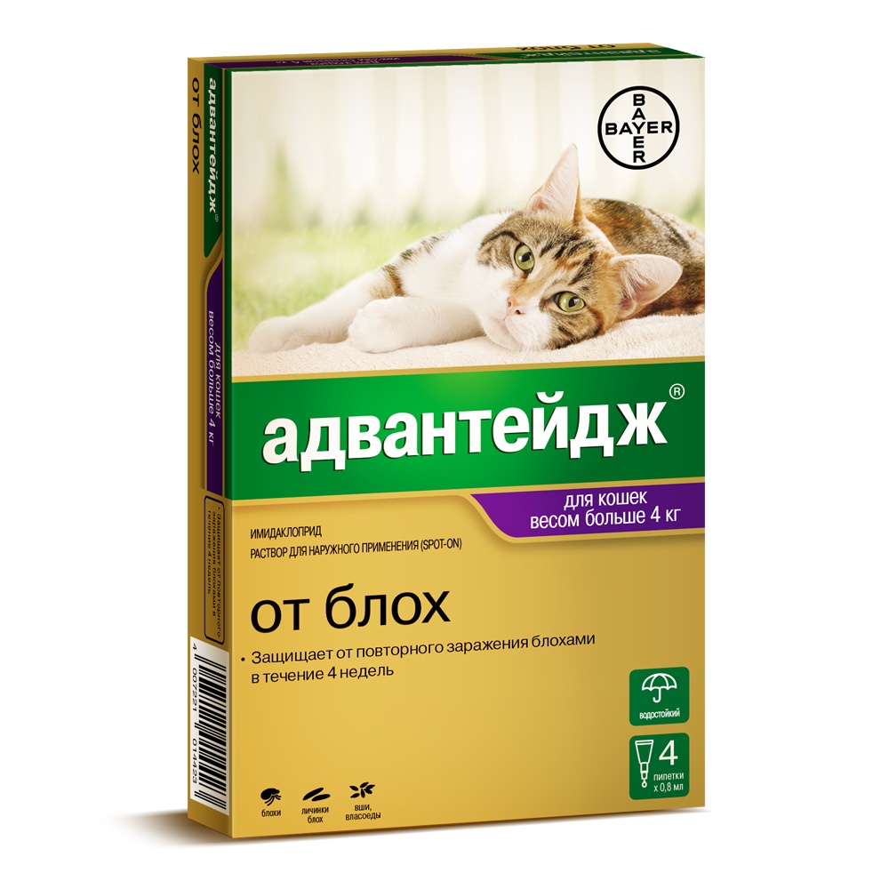 фото Bayer Golden Line Адвантейдж 80К Капли для котят и кошек от блох, вшей, власоедов (массой более 4 кг) (1 пипетка)