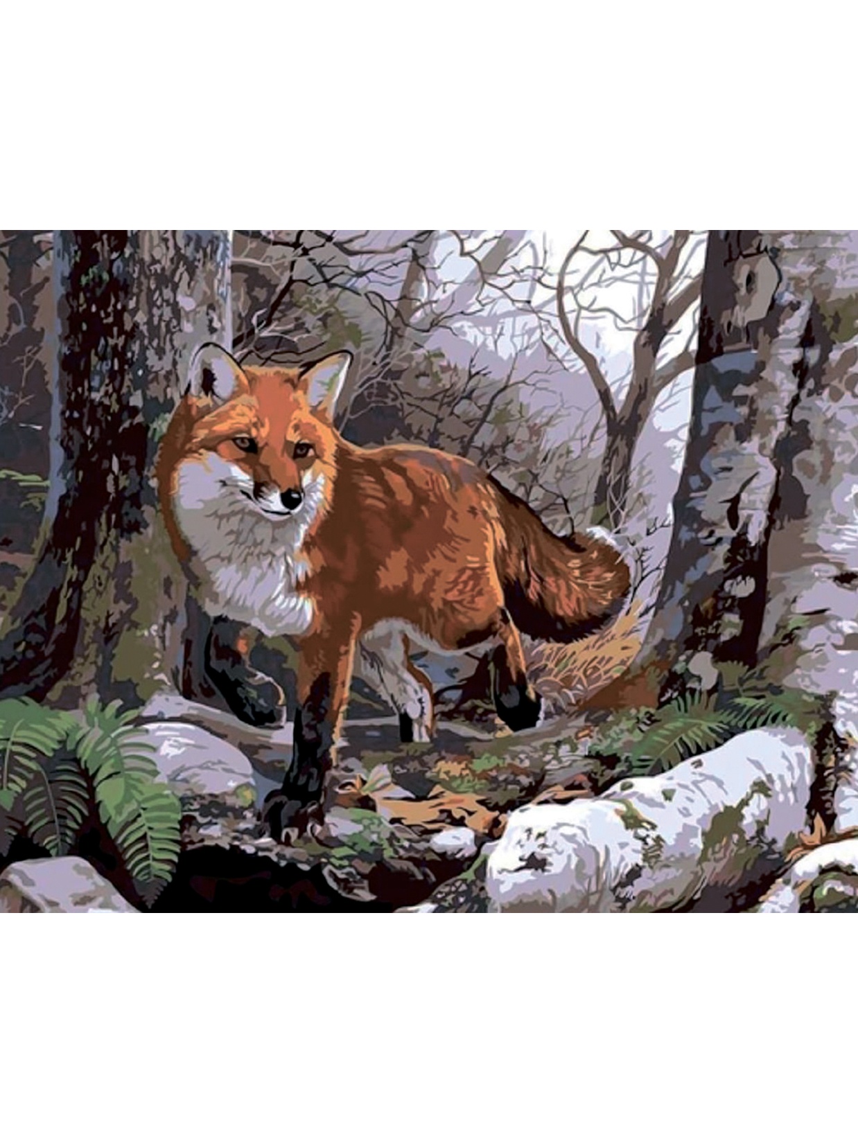 Fox по номеру. Картина по номерам лиса. Картины по номерам лиса в лесу. Лиса в лесу картина. Картина на холсте лиса в лесу.