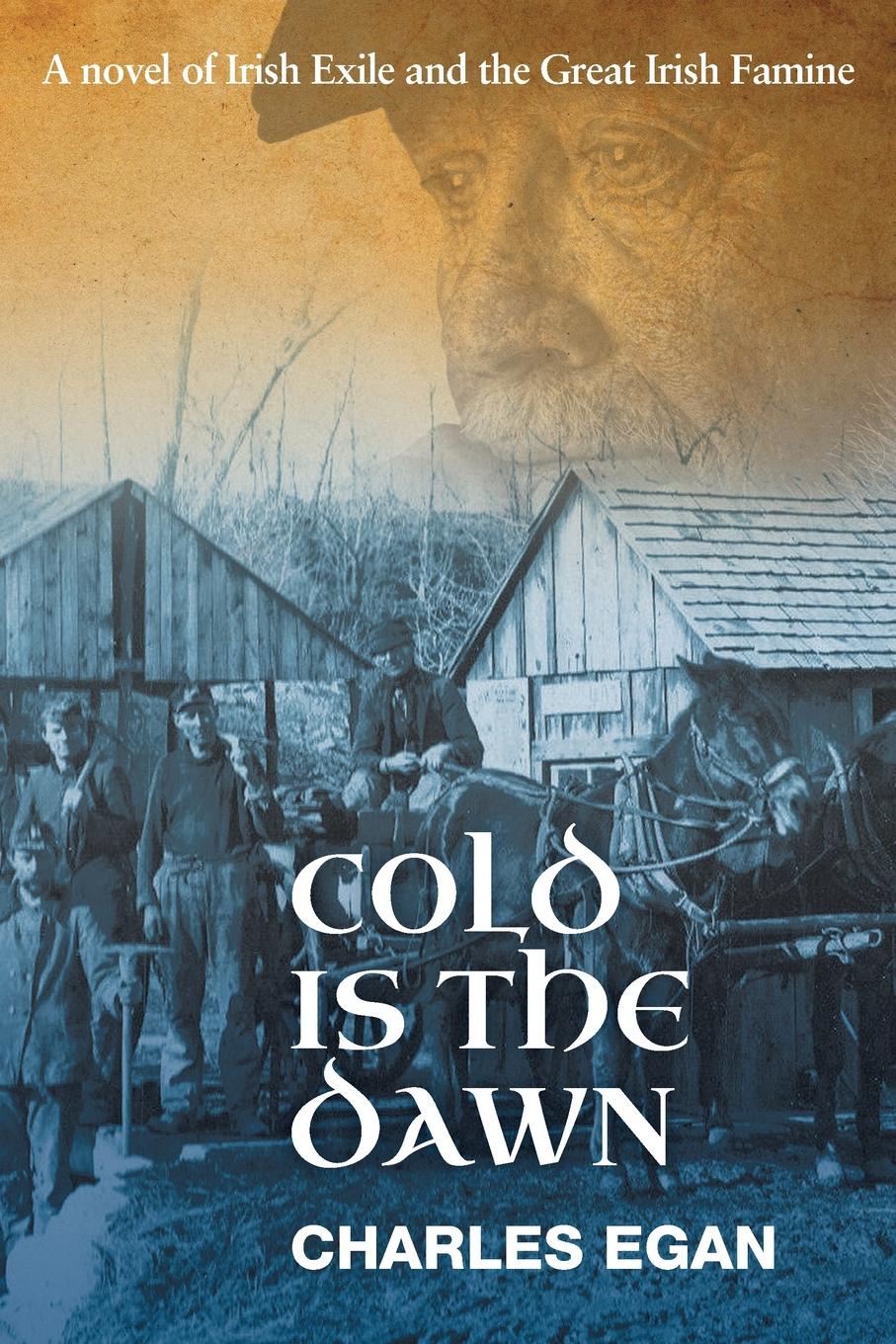 фото Cold is the Dawn. A Novel of Irish Exile and the Great Irish Famine