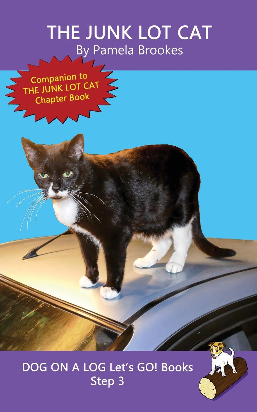 фото The Junk Lot Cat. Systematic Decodable Books Help Developing Readers, including Those with Dyslexia, Learn to Read with Phonics