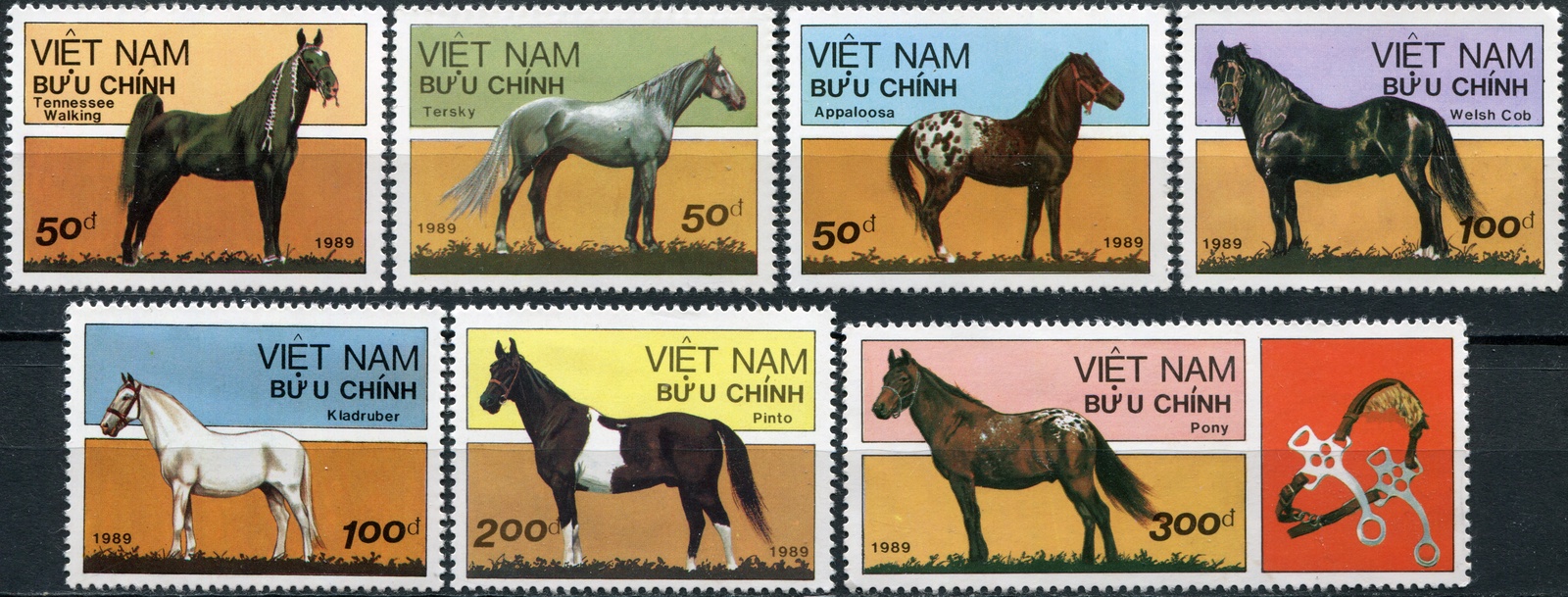 Лошадка марка. Марки лошади Вьетнам 1989. Марки с породами лошадей. Марка с лошадкой. Почтовые марки Вьетнама по годам.