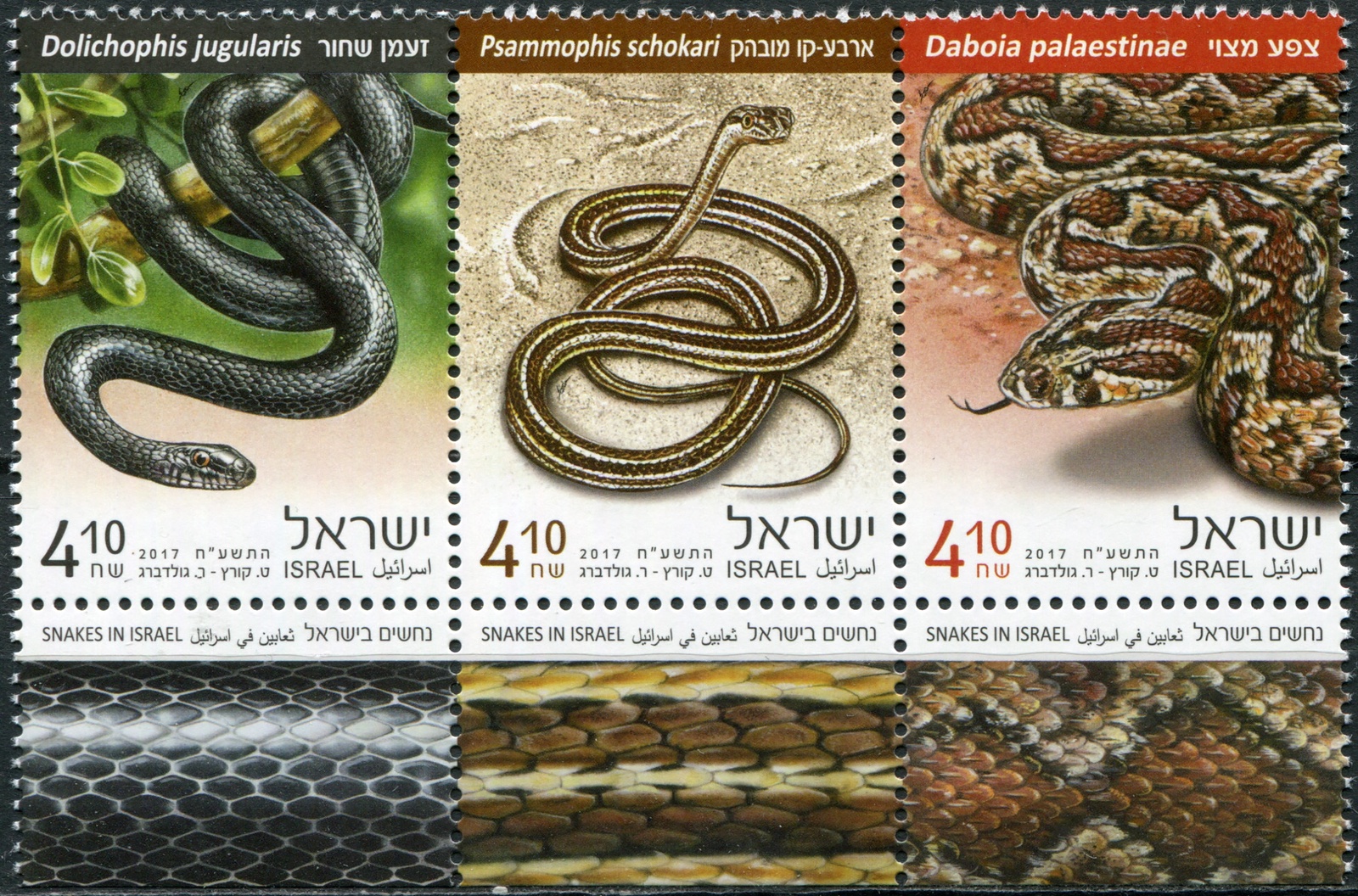 змеи израиля