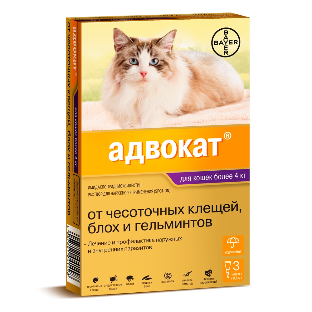 фото Bayer Golden Line Адвокат для котят и кошек, от клещей и блох (массой от 4 до 8 кг) (3 пипетки)