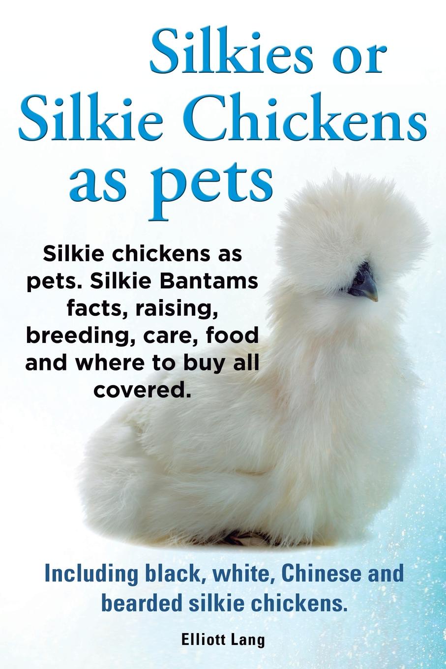 Silkies or Silkie Chickens as Pets. Silkie Bantams Facts, Raising, Breeding, Care, Food and Where to Buy All Covered. Including Black, White, Chinese