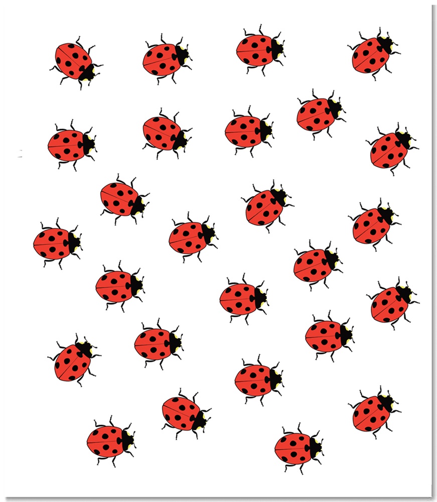 фото Ladybug Переводные Тату 2SKIN