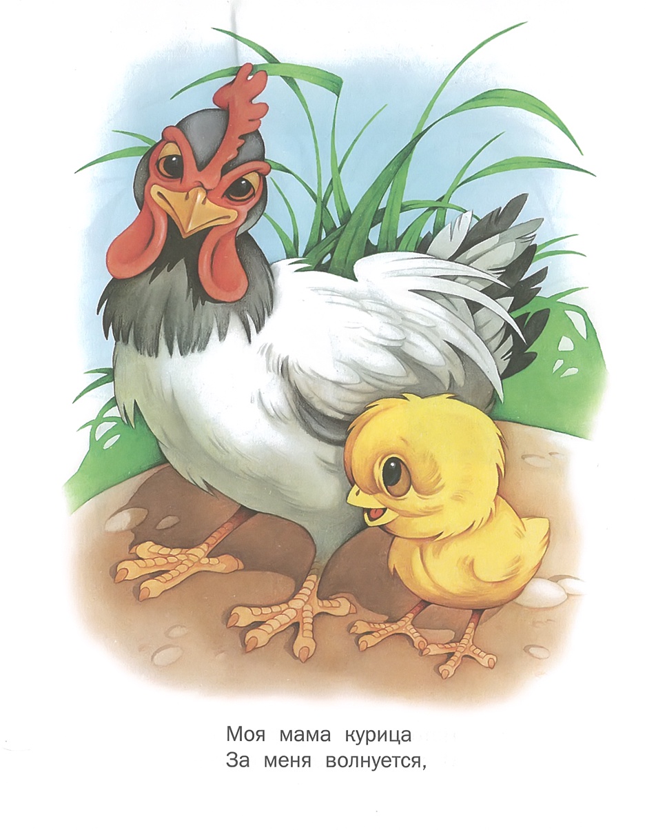 Детская про цыплят