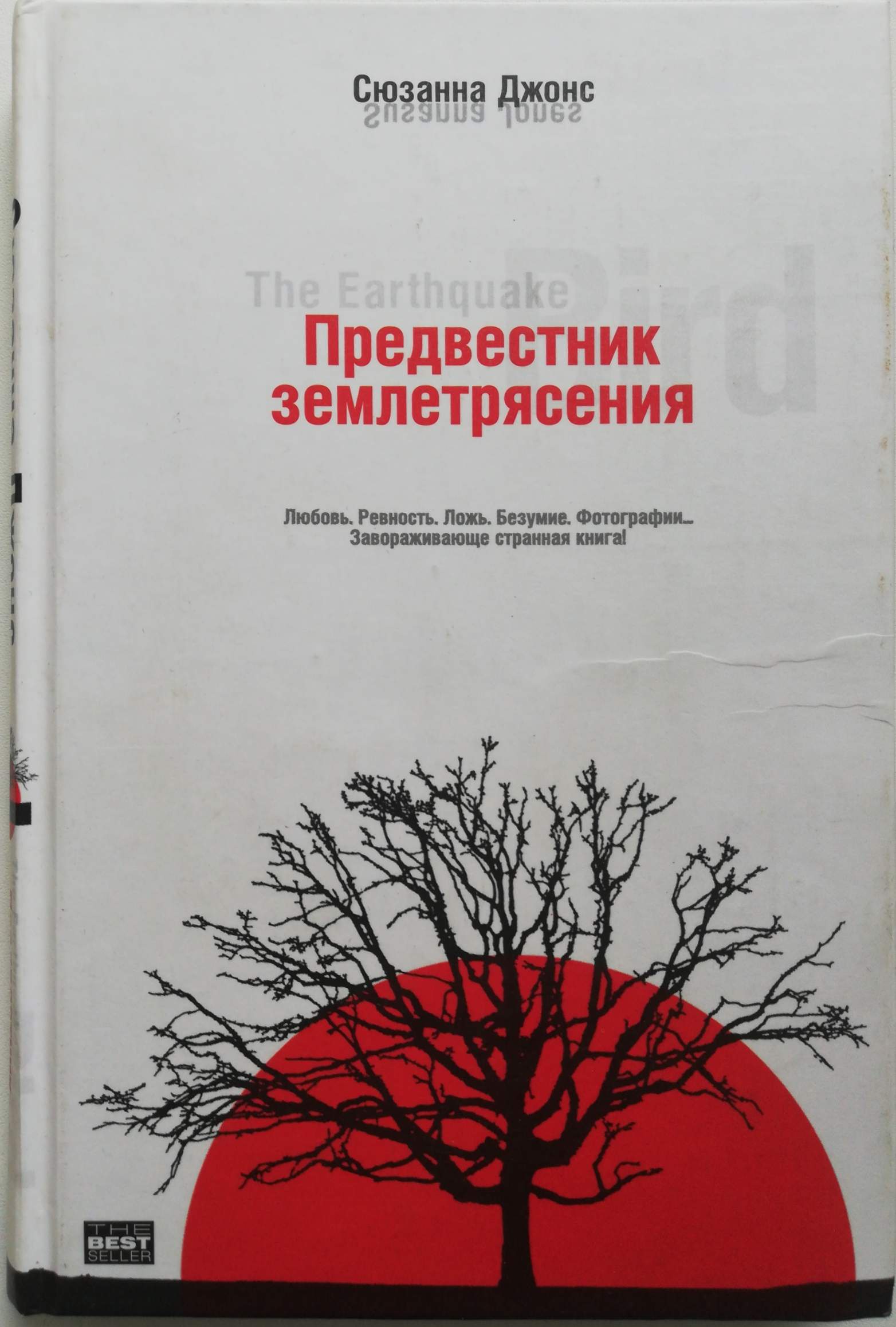 Мистическая япония книга. Основные предвестники землетрясений. Что не является распространенным предвестником землетрясения. Джонс предвестник землетрясения. Предвестник землетрясения.