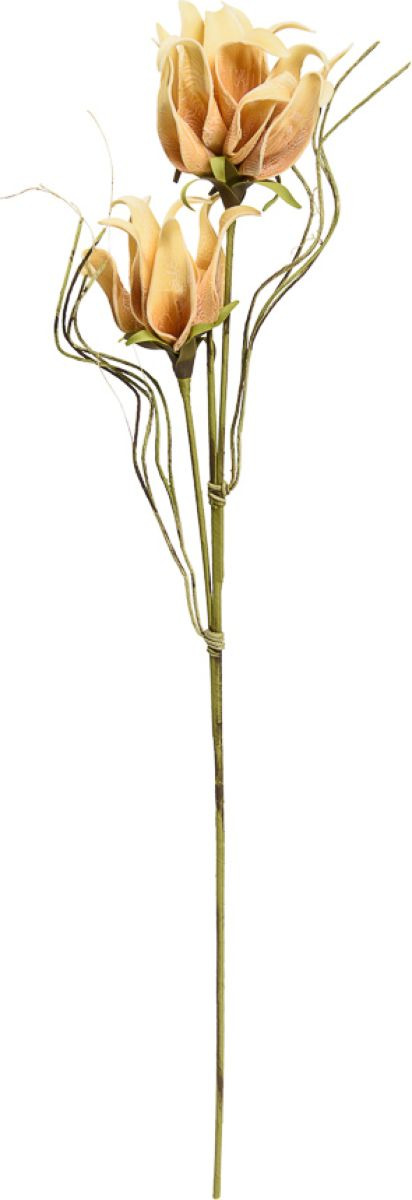 фото Цветок из фоамирана Вещицы "Нидуляриум осенний", aj - 43, 105 см