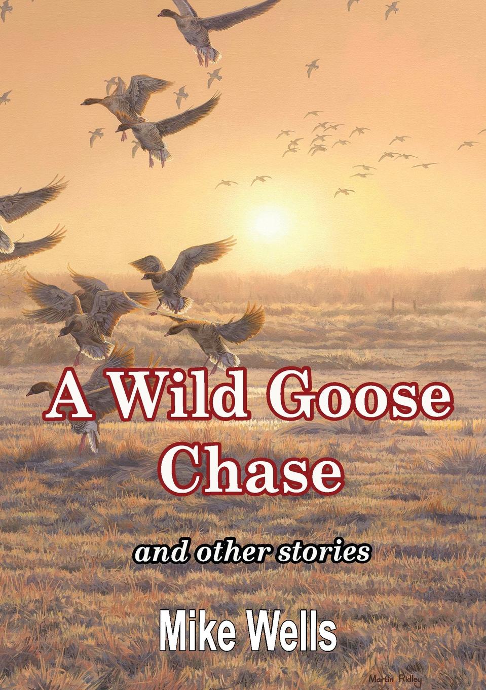 A Wild Goose Chase. and other stories