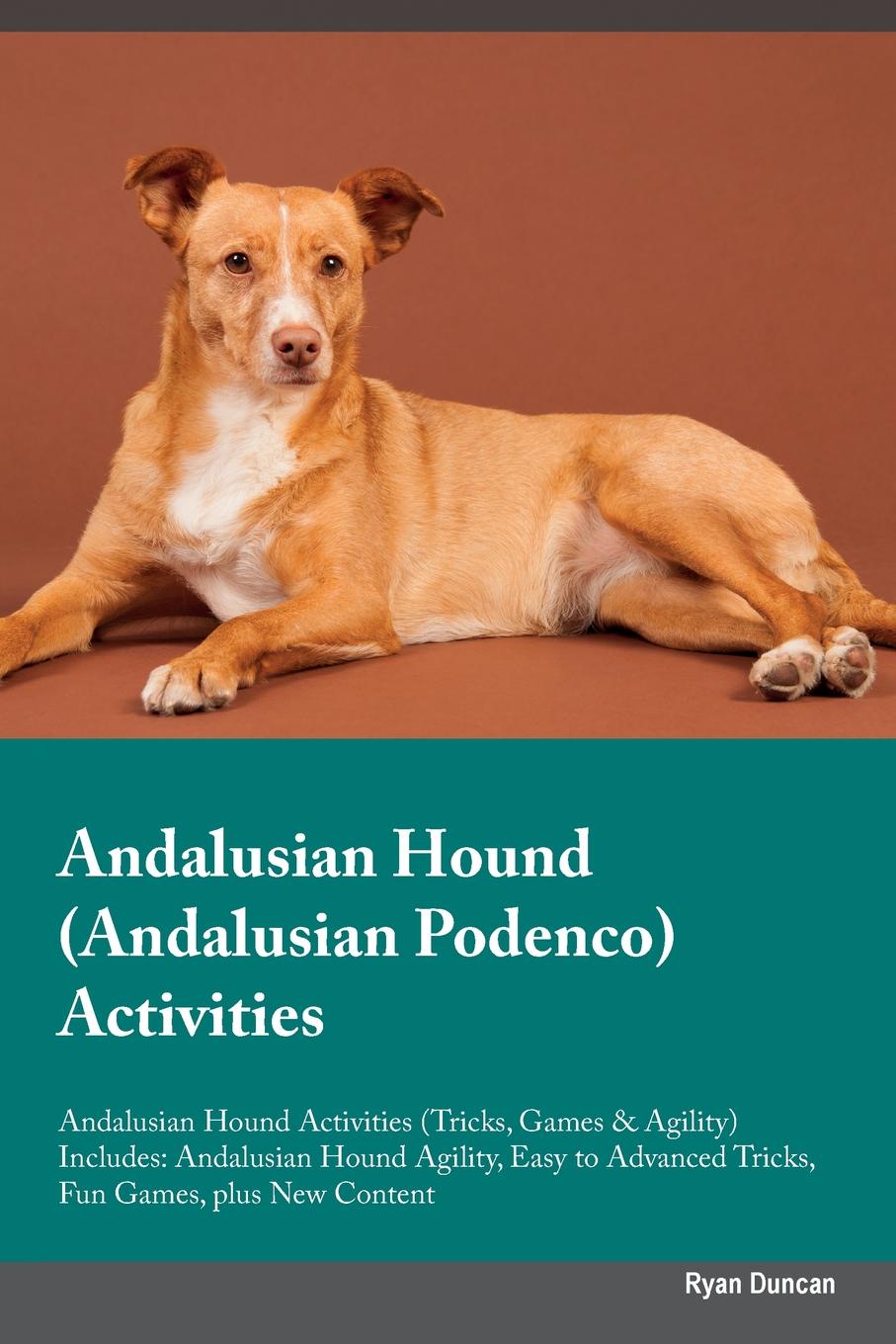 Andalusian Hound (Andalusian Podenco) Activities Andalusian Hound Activities (Tricks, Games & Agility) Includes. Andalusian Hound Agility, Easy to Advanced Tricks, Fun Games, plus New Content