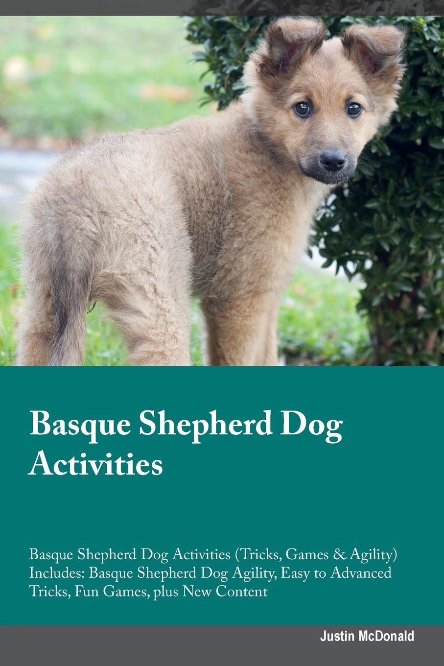 Basque Shepherd Dog Activities Basque Shepherd Dog Activities (Tricks, Games & Agility) Includes. Basque Shepherd Dog Agility, Easy to Advanced Tricks, Fun Games, plus New Content