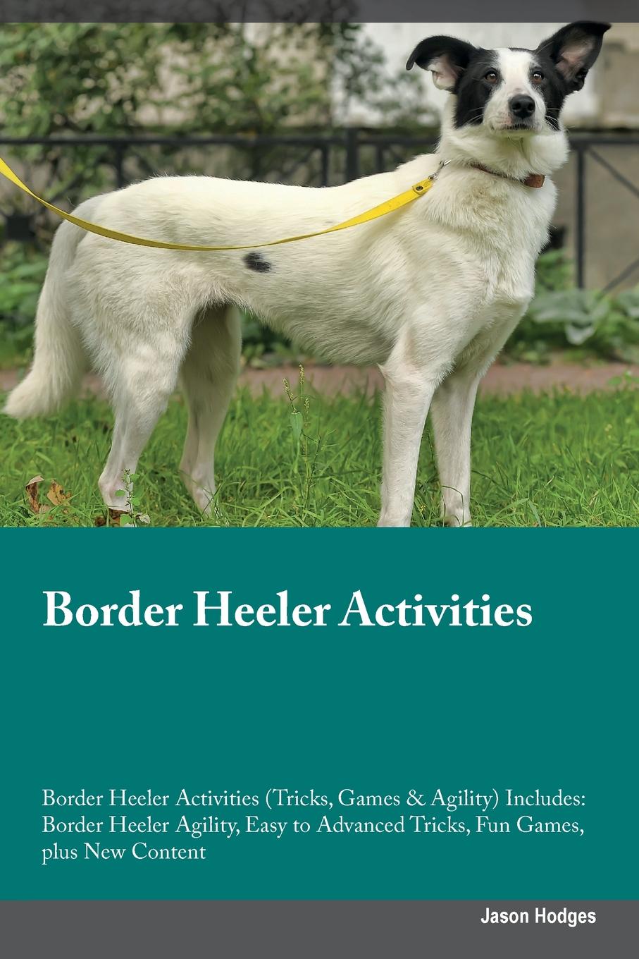 Border Heeler Activities Border Heeler Activities (Tricks, Games & Agility) Includes. Border Heeler Agility, Easy to Advanced Tricks, Fun Games, plus New Content