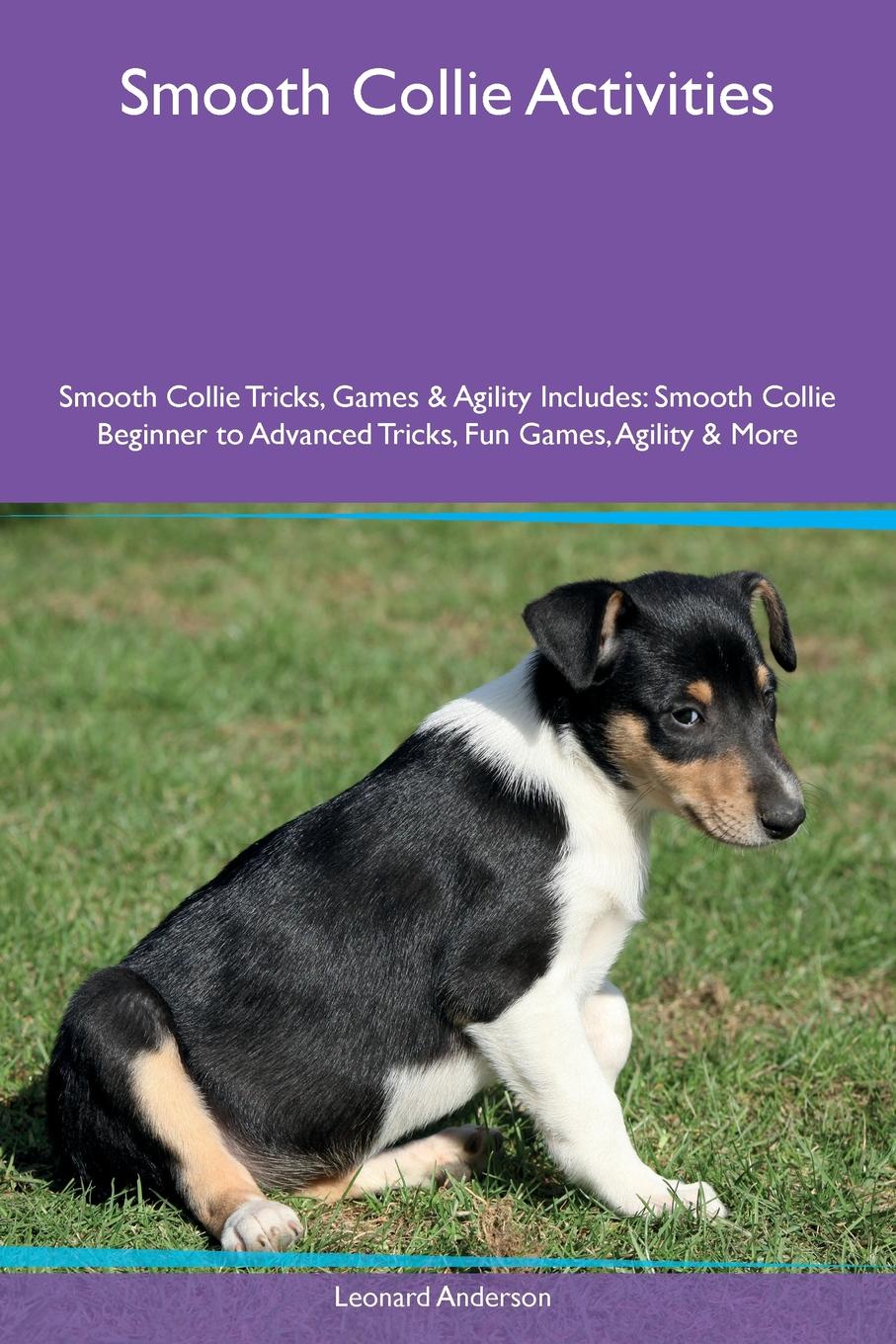 Smooth Collie Activities Smooth Collie Tricks, Games & Agility Includes. Smooth Collie Beginner to Advanced Tricks, Fun Games, Agility & More