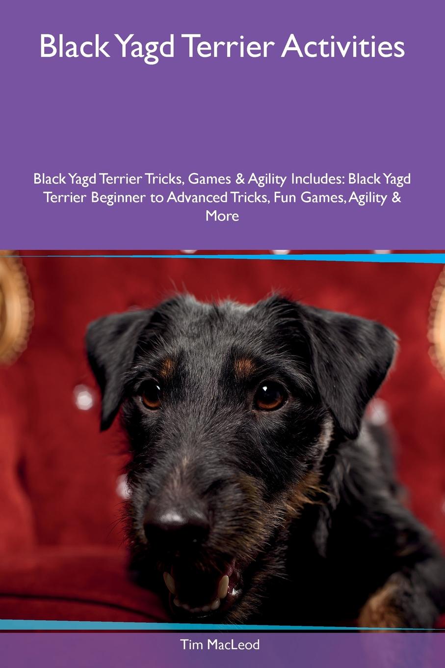 Black Yagd Terrier Activities Black Yagd Terrier Tricks, Games & Agility Includes. Black Yagd Terrier Beginner to Advanced Tricks, Fun Games, Agility & More