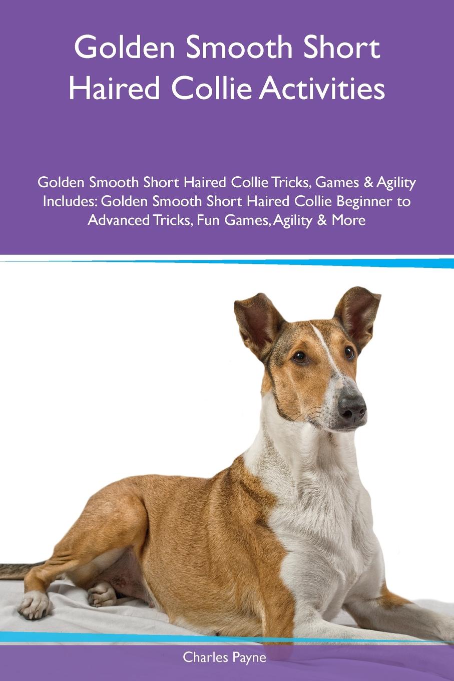 Golden Smooth Short Haired Collie Activities Golden Smooth Short Haired Collie Tricks, Games & Agility Includes. Golden Smooth Short Haired Collie Beginner to Advanced Tricks, Fun Games, Agility & More