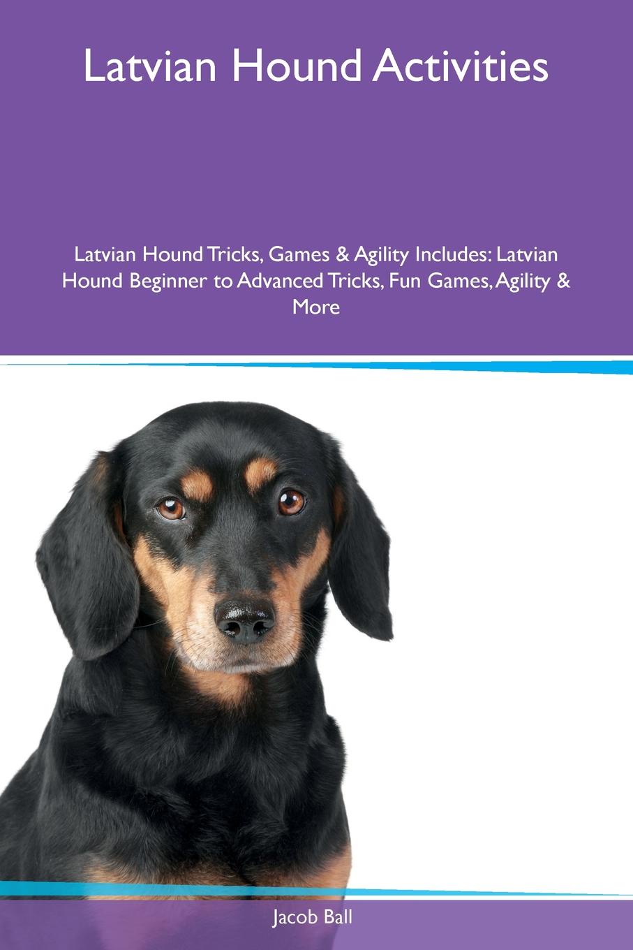 Latvian Hound Activities Latvian Hound Tricks, Games & Agility Includes. Latvian Hound Beginner to Advanced Tricks, Fun Games, Agility & More