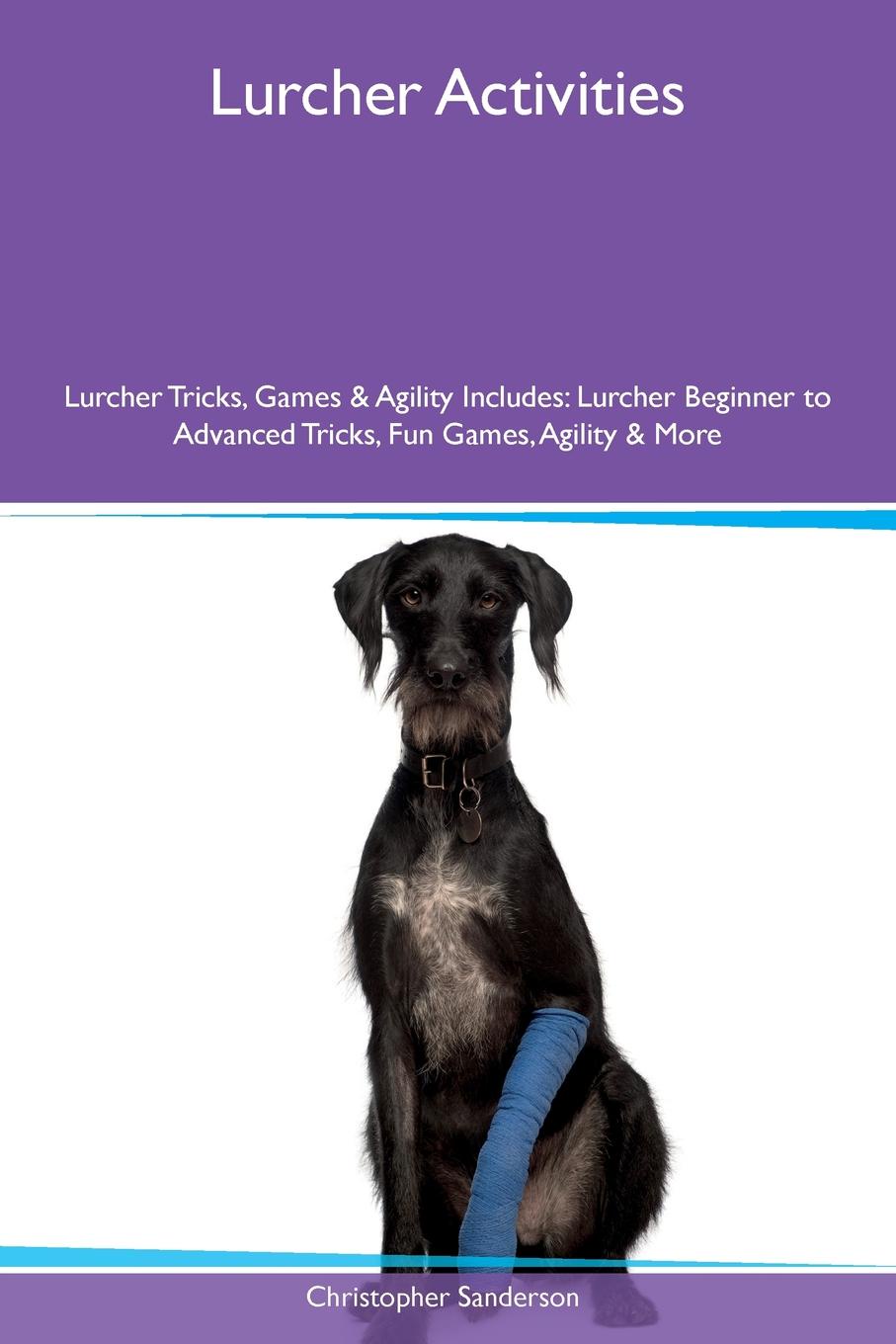 Lurcher Activities Lurcher Tricks, Games & Agility Includes. Lurcher Beginner to Advanced Tricks, Fun Games, Agility & More