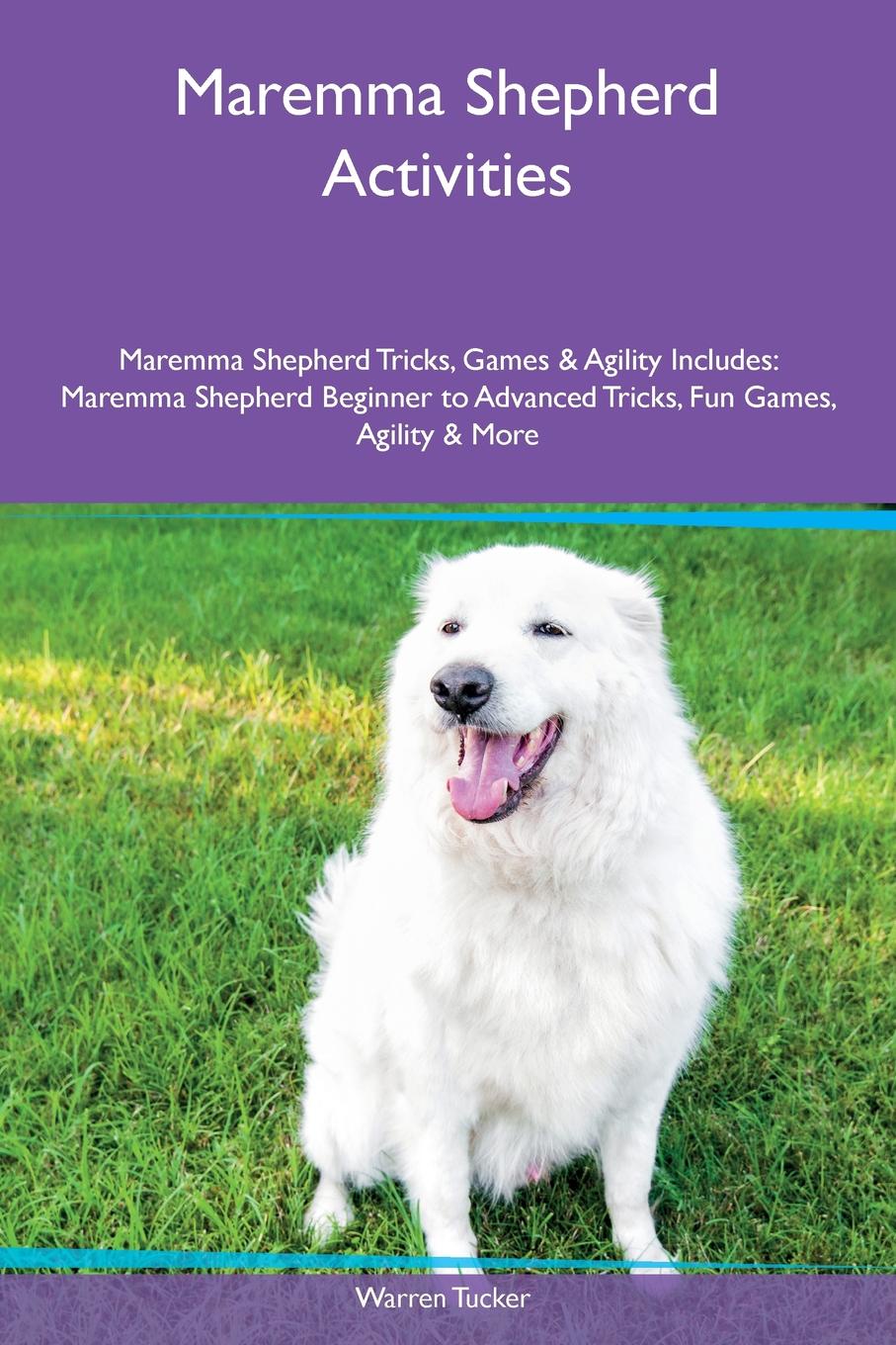 Maremma Shepherd Activities Maremma Shepherd Tricks, Games & Agility Includes. Maremma Shepherd Beginner to Advanced Tricks, Fun Games, Agility & More