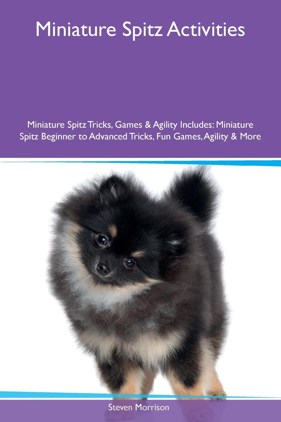 Miniature Spitz Activities Miniature Spitz Tricks, Games & Agility Includes. Miniature Spitz Beginner to Advanced Tricks, Fun Games, Agility & More