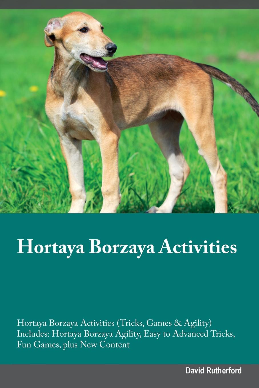 Hortaya Borzaya Activities Hortaya Borzaya Activities (Tricks, Games & Agility) Includes. Hortaya Borzaya Agility, Easy to Advanced Tricks, Fun Games, plus New Content