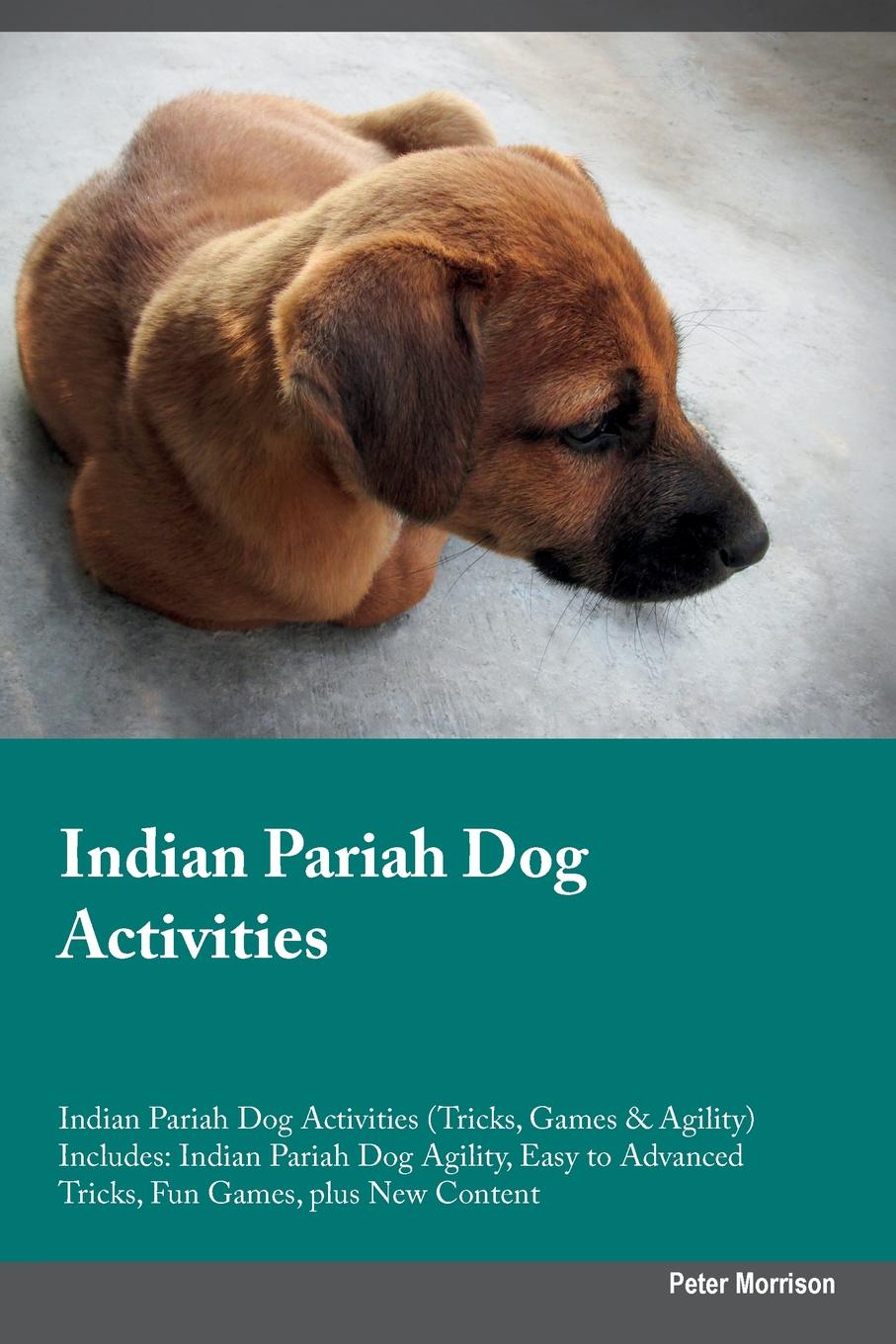 Indian Pariah Dog Activities Indian Pariah Dog Activities (Tricks, Games & Agility) Includes. Indian Pariah Dog Agility, Easy to Advanced Tricks, Fun Games, plus New Content