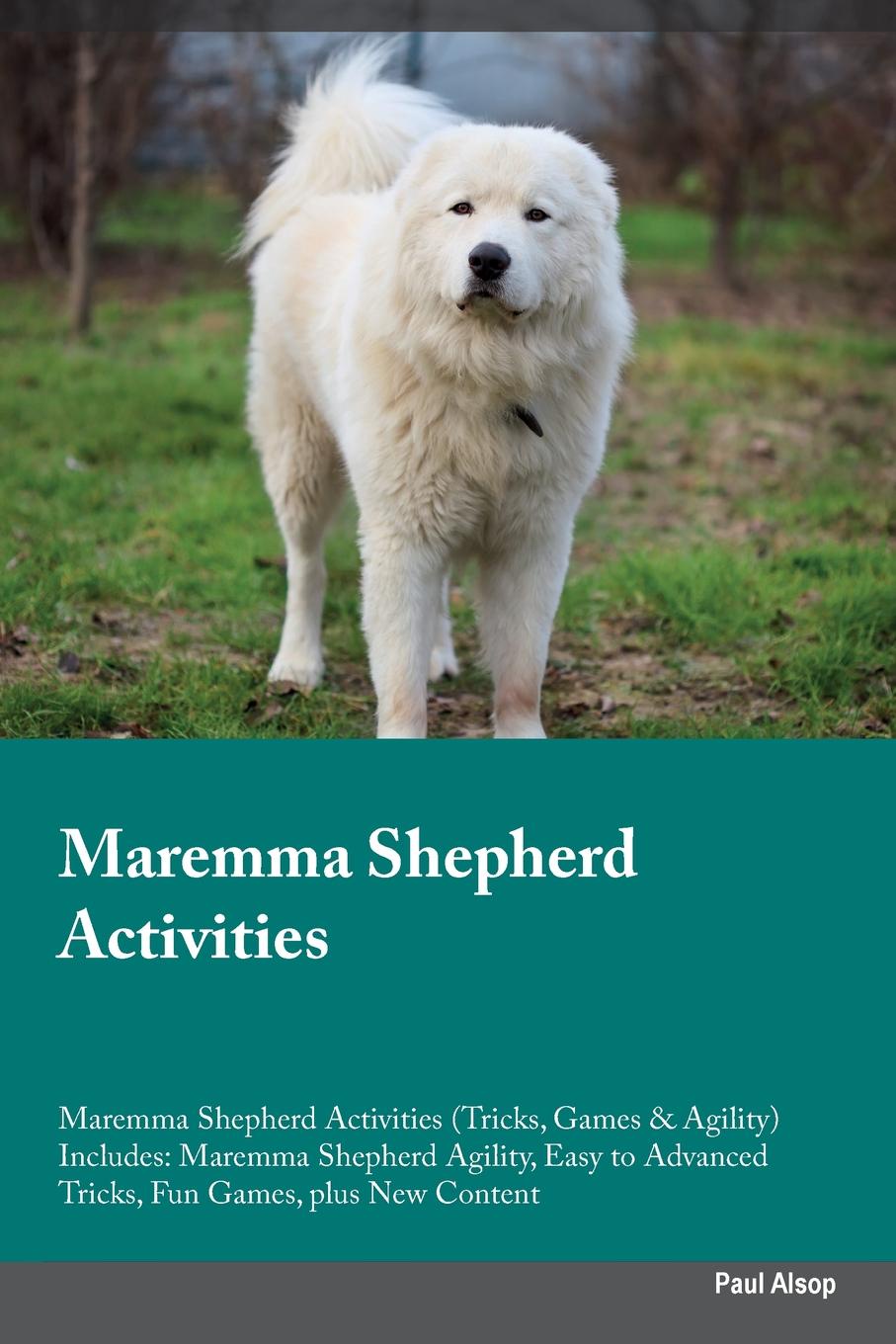 Maremma Shepherd Activities Maremma Shepherd Activities (Tricks, Games & Agility) Includes. Maremma Shepherd Agility, Easy to Advanced Tricks, Fun Games, plus New Content