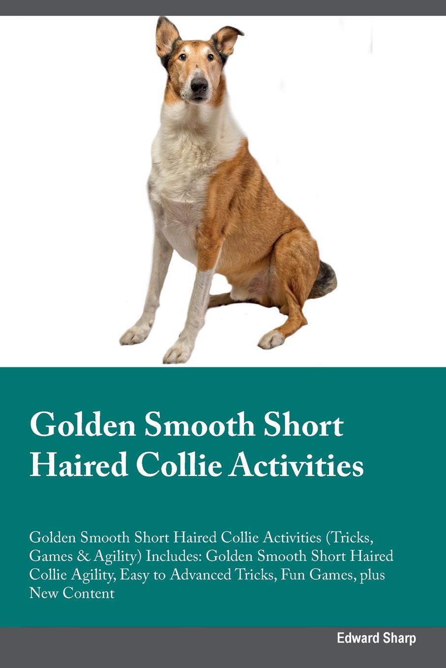 Golden Smooth Short Haired Collie Activities Golden Smooth Short Haired Collie Activities (Tricks, Games & Agility) Includes. Golden Smooth Short Haired Collie Agility, Easy to Advanced Tricks, Fun Games, plus New Content