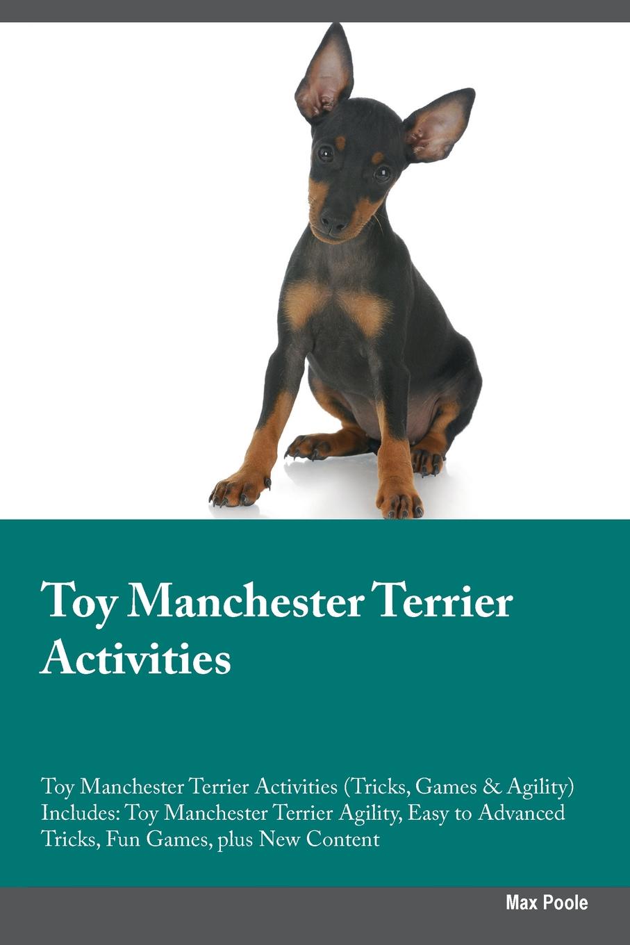Toy Manchester Terrier Activities Toy Manchester Terrier Activities (Tricks, Games & Agility) Includes. Toy Manchester Terrier Agility, Easy to Advanced Tricks, Fun Games, plus New Content
