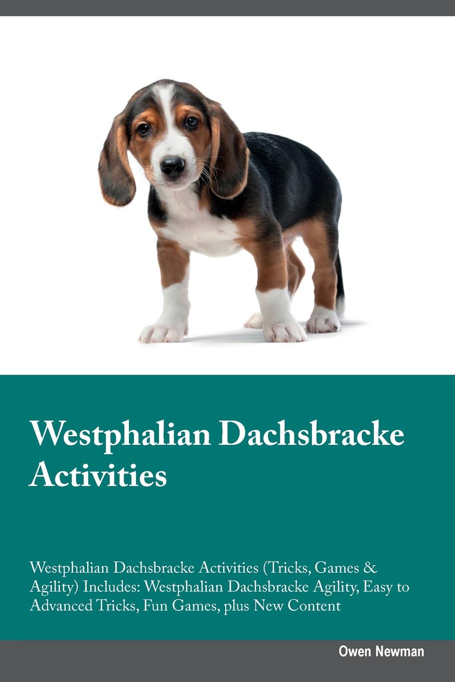 Westphalian dachsbracke