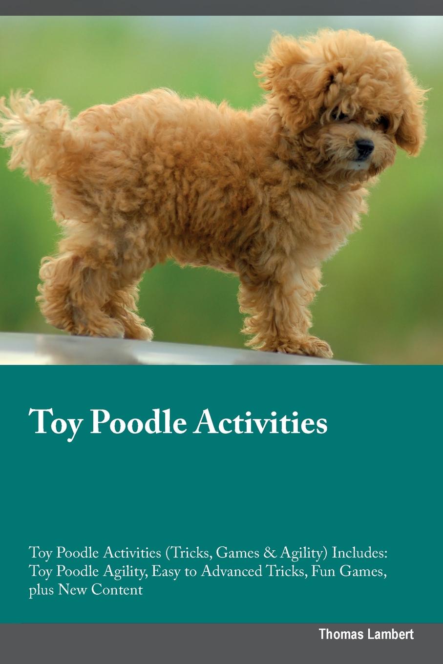 Toy Poodle Activities Toy Poodle Activities (Tricks, Games & Agility) Includes. Toy Poodle Agility, Easy to Advanced Tricks, Fun Games, plus New Content