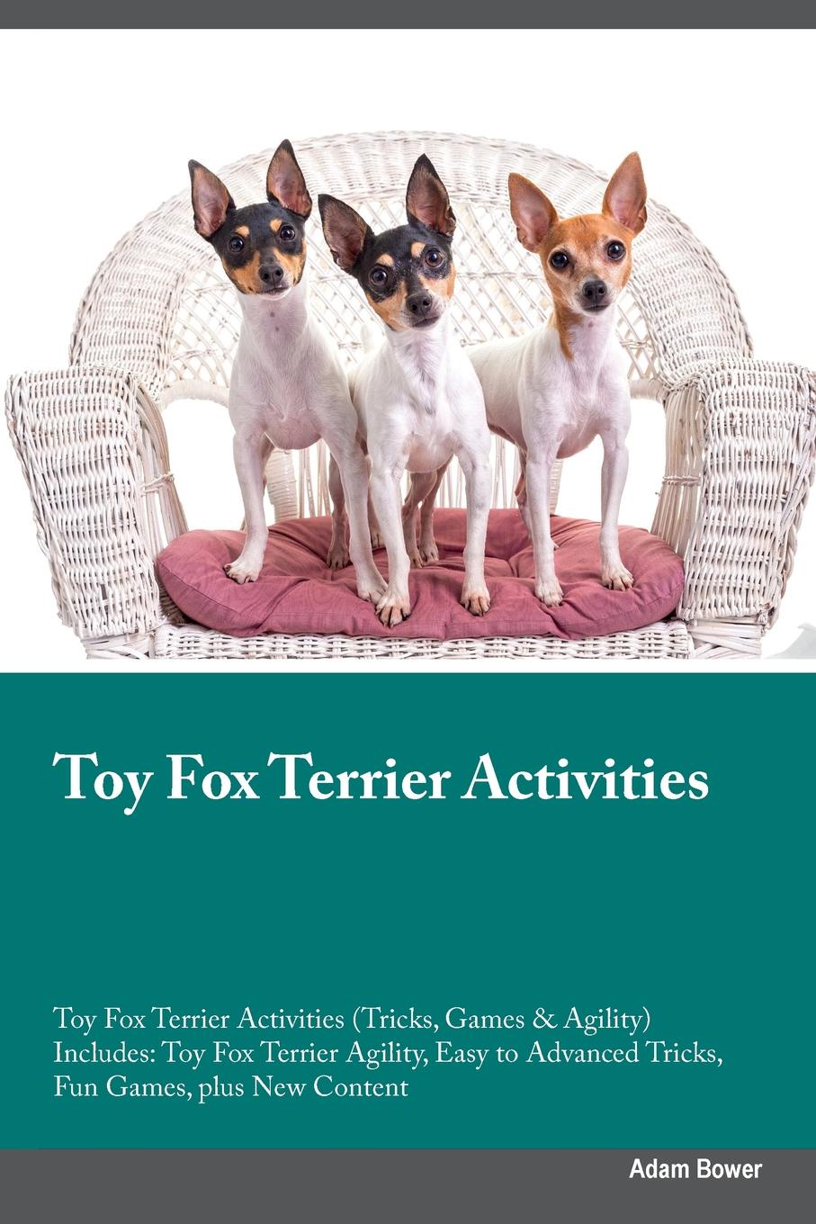 Toy Fox Terrier Activities Toy Fox Terrier Activities (Tricks, Games & Agility) Includes. Toy Fox Terrier Agility, Easy to Advanced Tricks, Fun Games, plus New Content