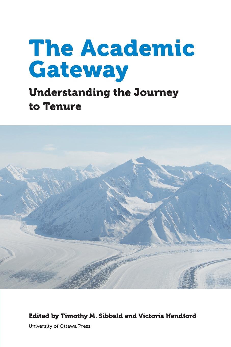 The Academic Gateway. Understanding the Journey to Tenure