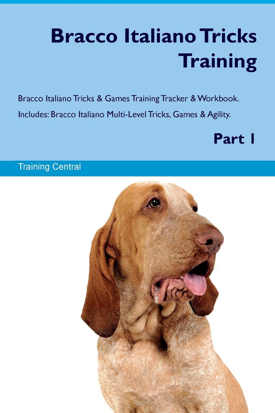 Training Central Bracco Italiano Tricks Training Bracco Italiano Tricks & Games Training Tracker & Workbook. Includes. Bracco Italiano Multi-Level Tricks, Games & Agility. Part 1 Training Central Bracco Italiano Tricks Training Bracco Italiano Tricks & Games Training Tracker & Workbook. Includes. Bracco Italiano Multi-Level Tricks, Games & Agility. Part 1