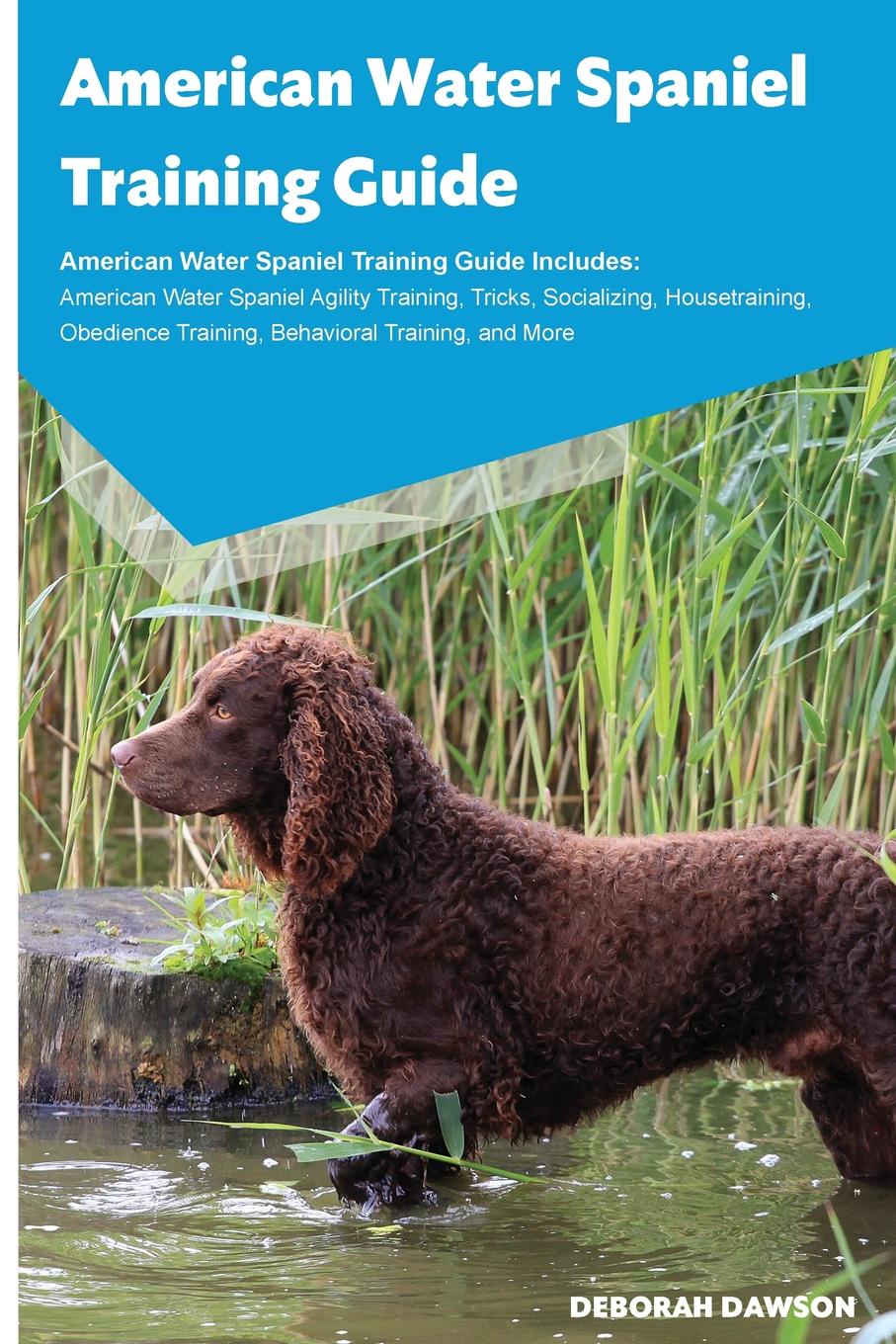 American Water Spaniel Training Guide American Water Spaniel Training Guide Includes. American Water Spaniel Agility Training, Tricks, Socializing, Housetraining, Obedience Training, Behavioral Training, and More