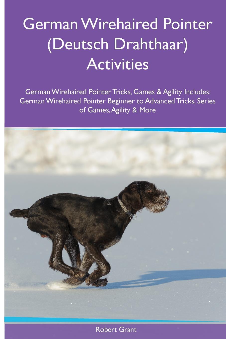 German Wirehaired Pointer (Deutsch Drahthaar) Activities German Wirehaired Pointer Tricks, Games & Agility. Includes. German Wirehaired Pointer Beginner to Advanced Tricks, Series of Games, Agility and More