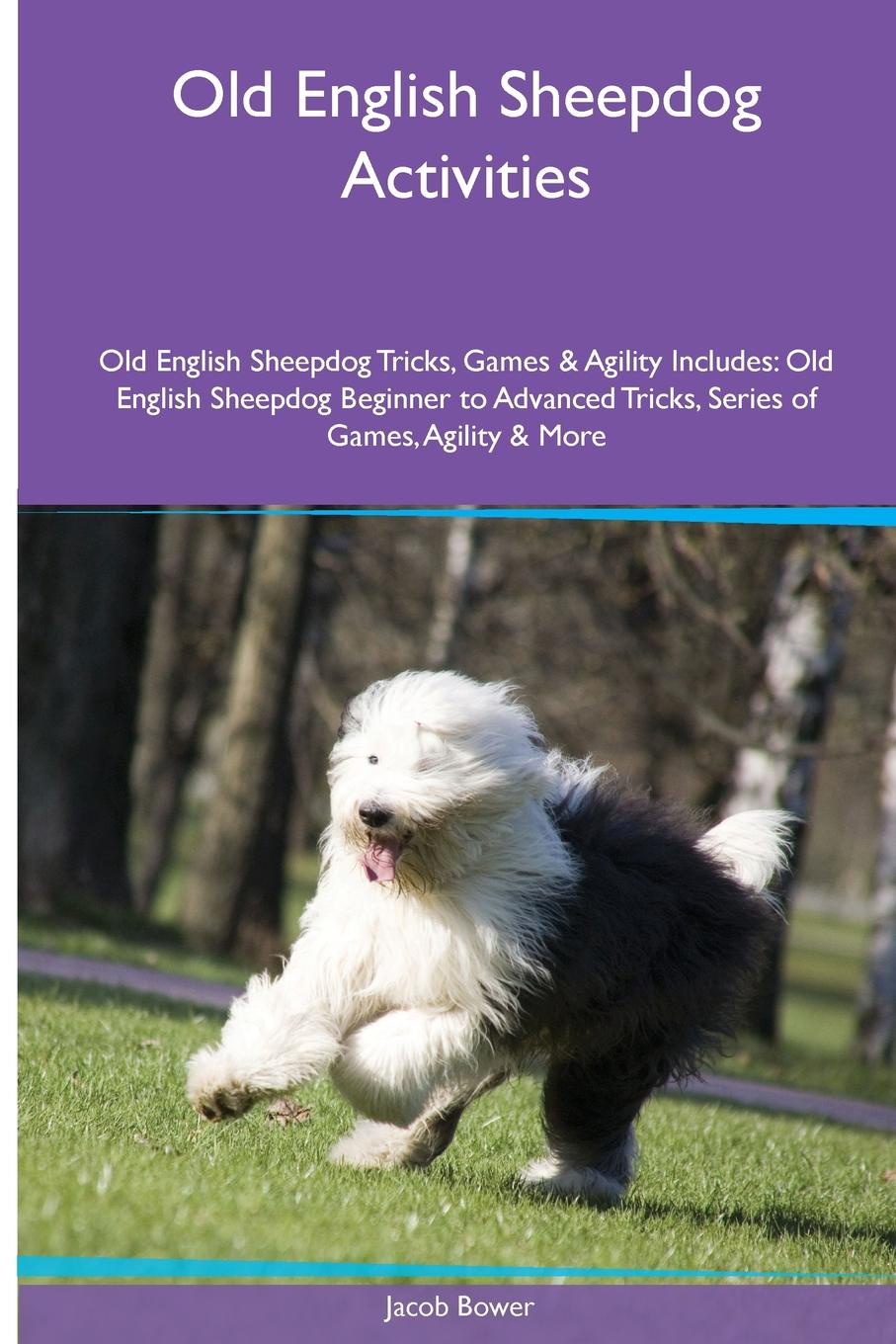 Old English Sheepdog  Activities Old English Sheepdog Tricks, Games & Agility. Includes. Old English Sheepdog Beginner to Advanced Tricks, Series of Games, Agility and More